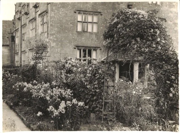 Flower garden clematis 3.jpg