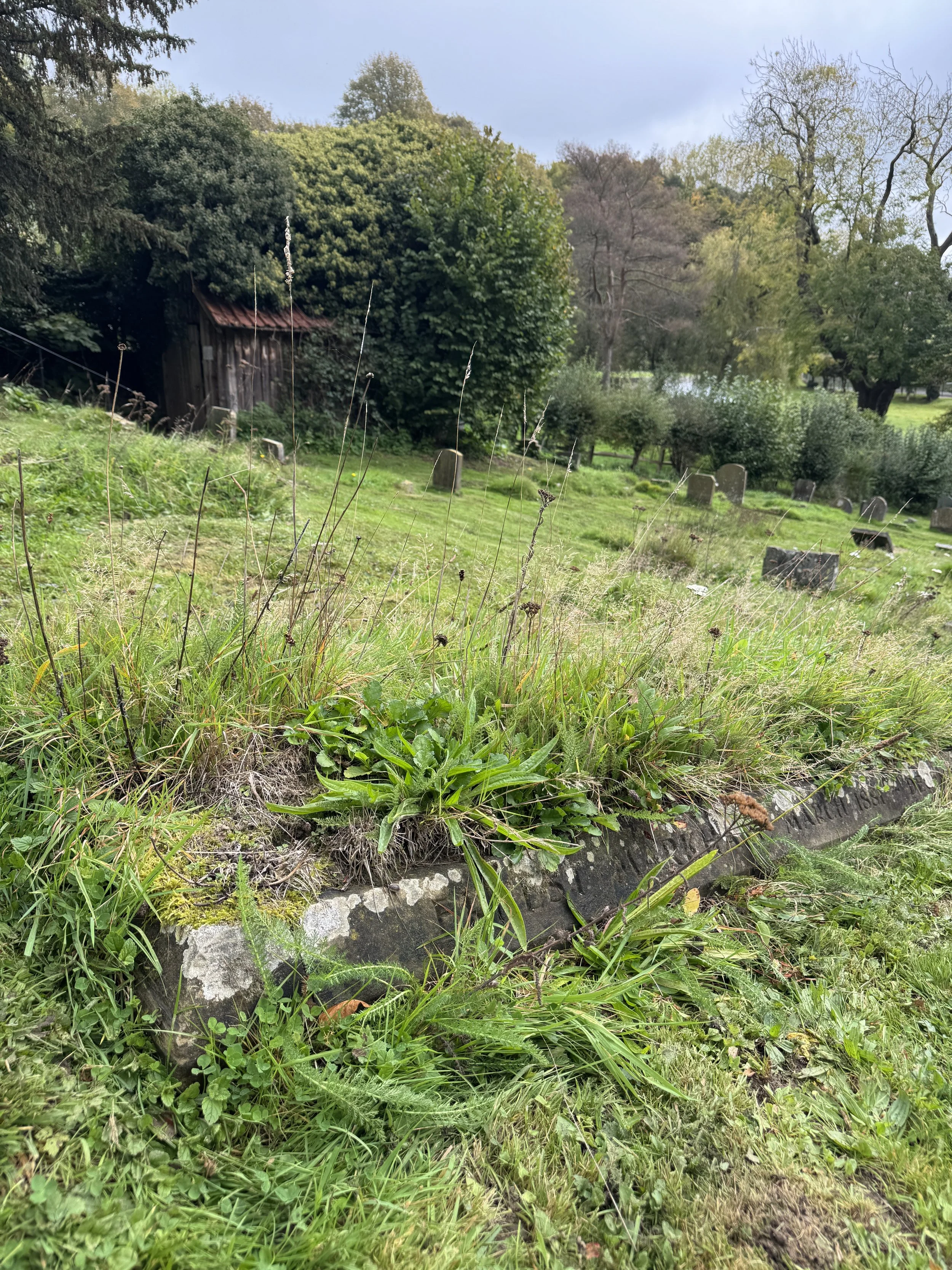 Markham Grave1.JPG