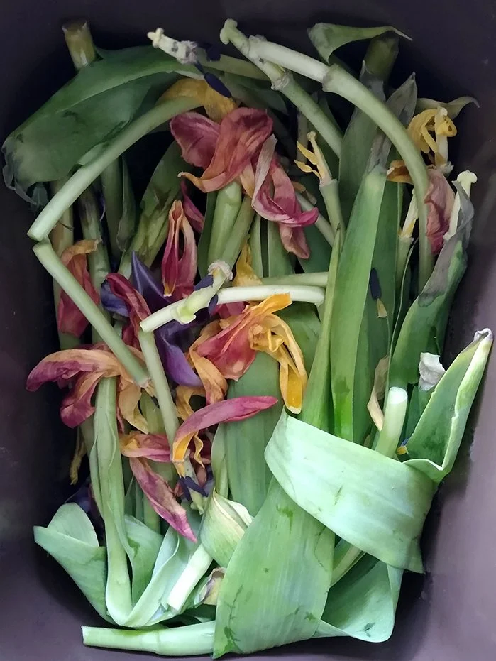 Compost Print 13, Tulips.jpg