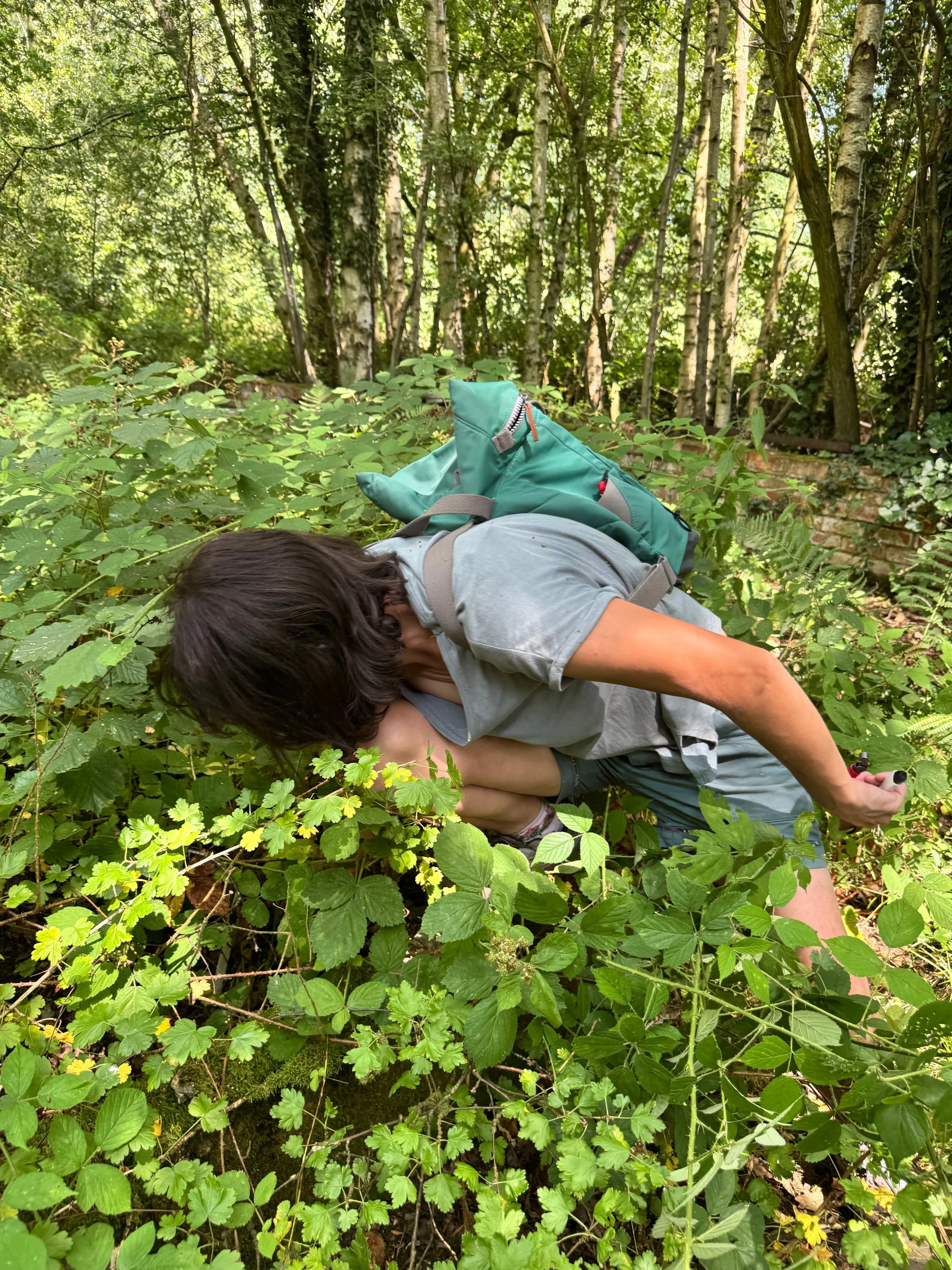 Sam searching (1).jpg