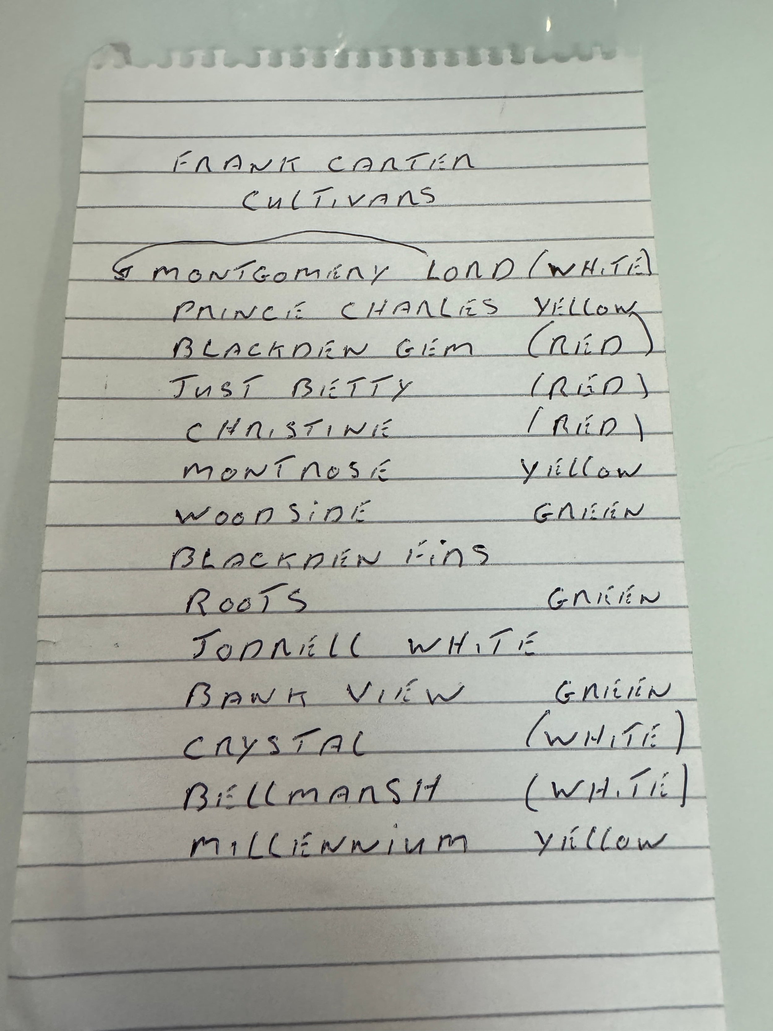 Franks list (1).jpg