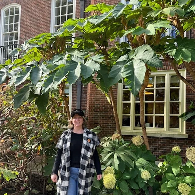 How tall does a Tetrapanax grow? — Our Plant Stories