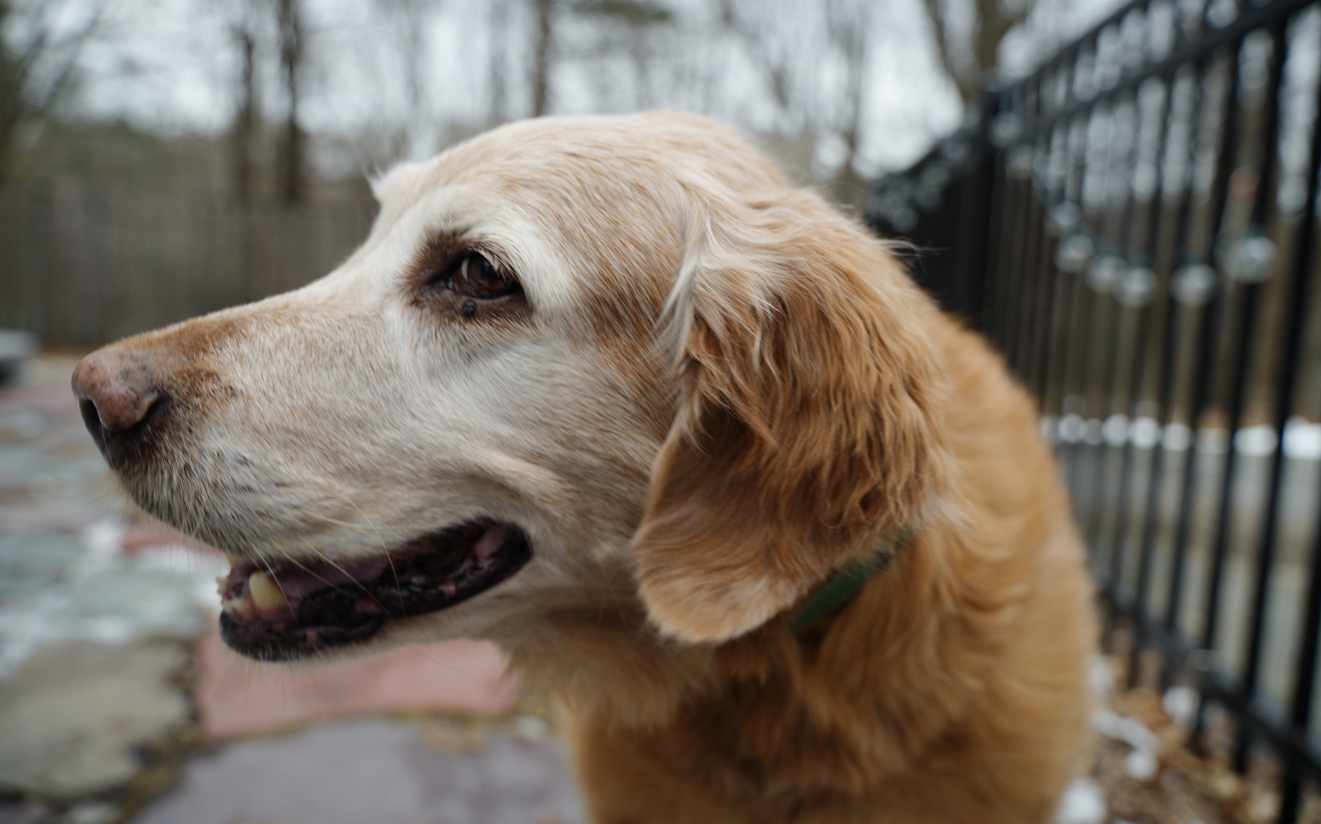 Screenshot 2024-12-31 at 9.18.51 PM.png