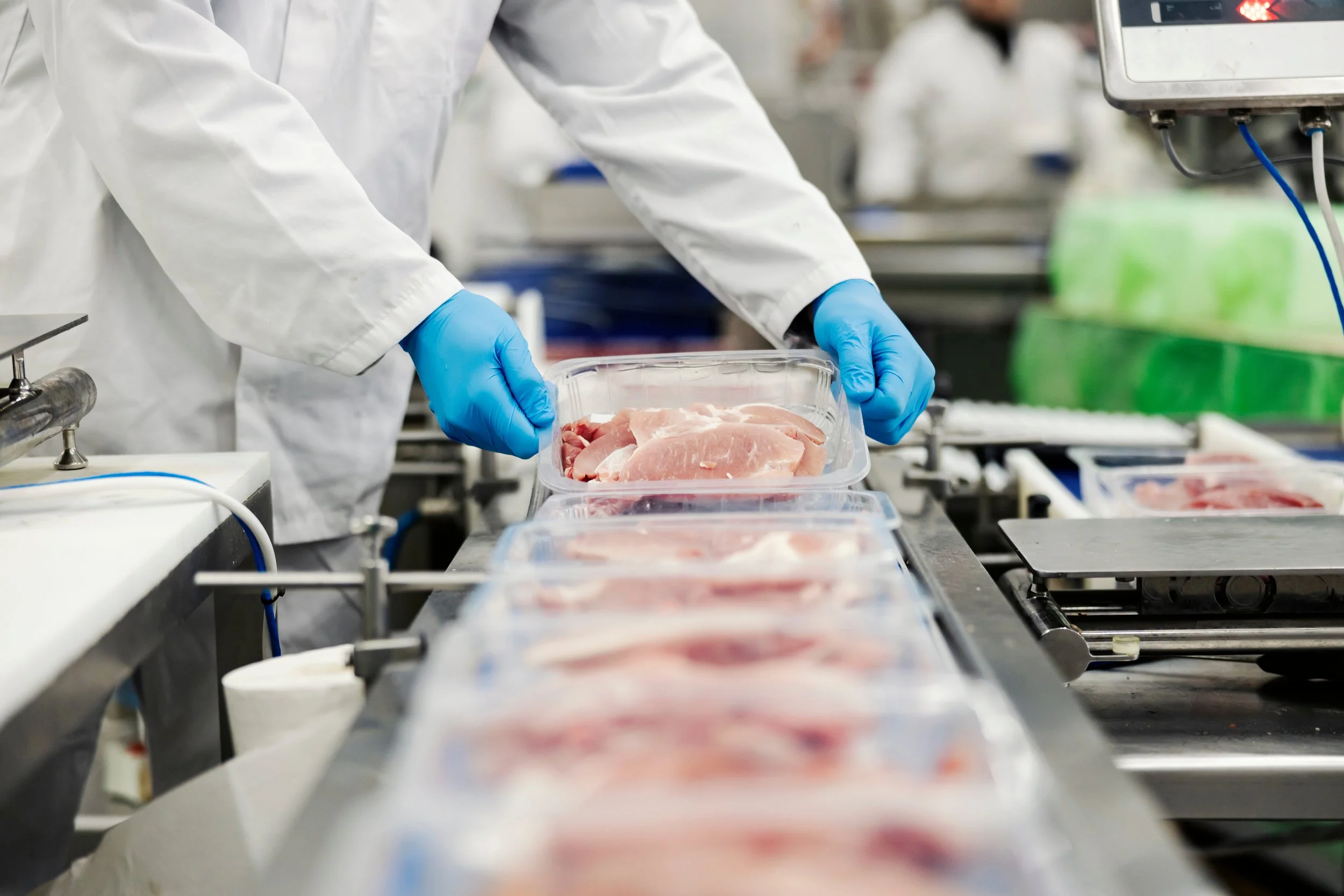 Worker placing raw chicken into a plastic container in a food processing facility, wearing gloves and white uniform.