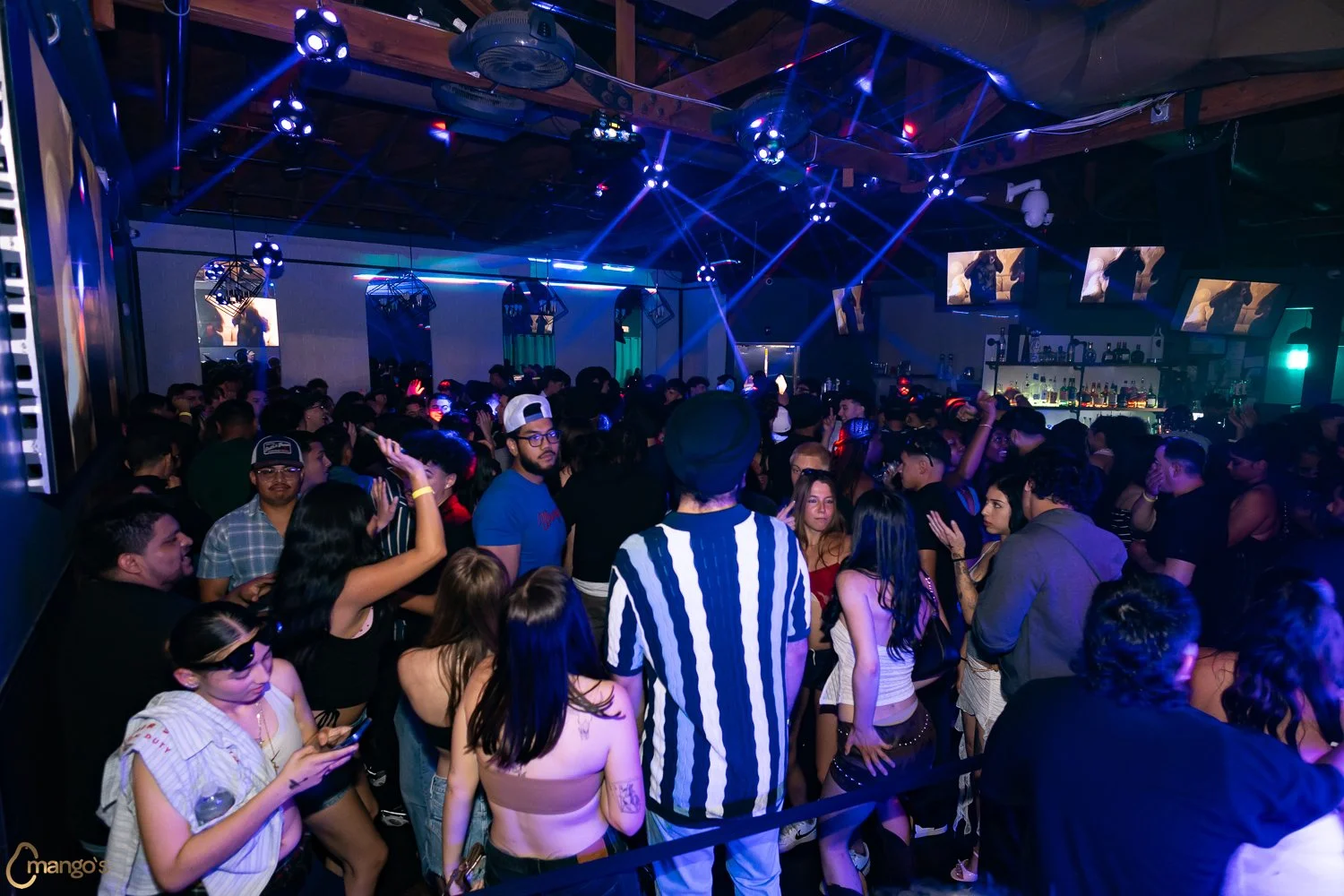 2026-05-15-Mangos-67.jpg