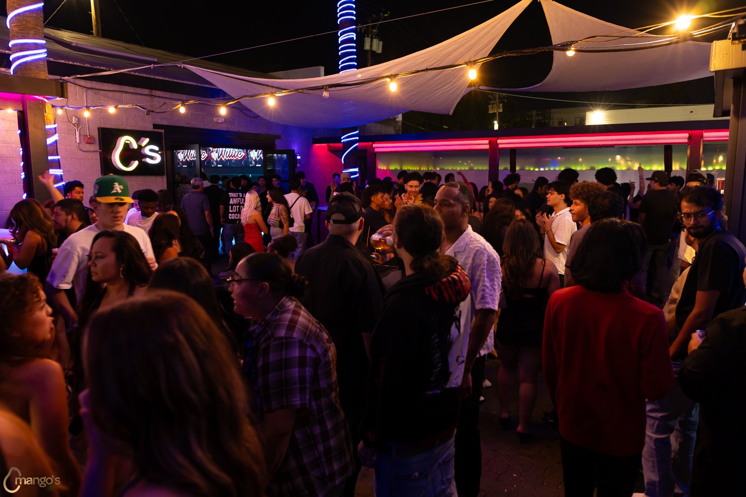 2026-09-11-Mangos-43.jpg