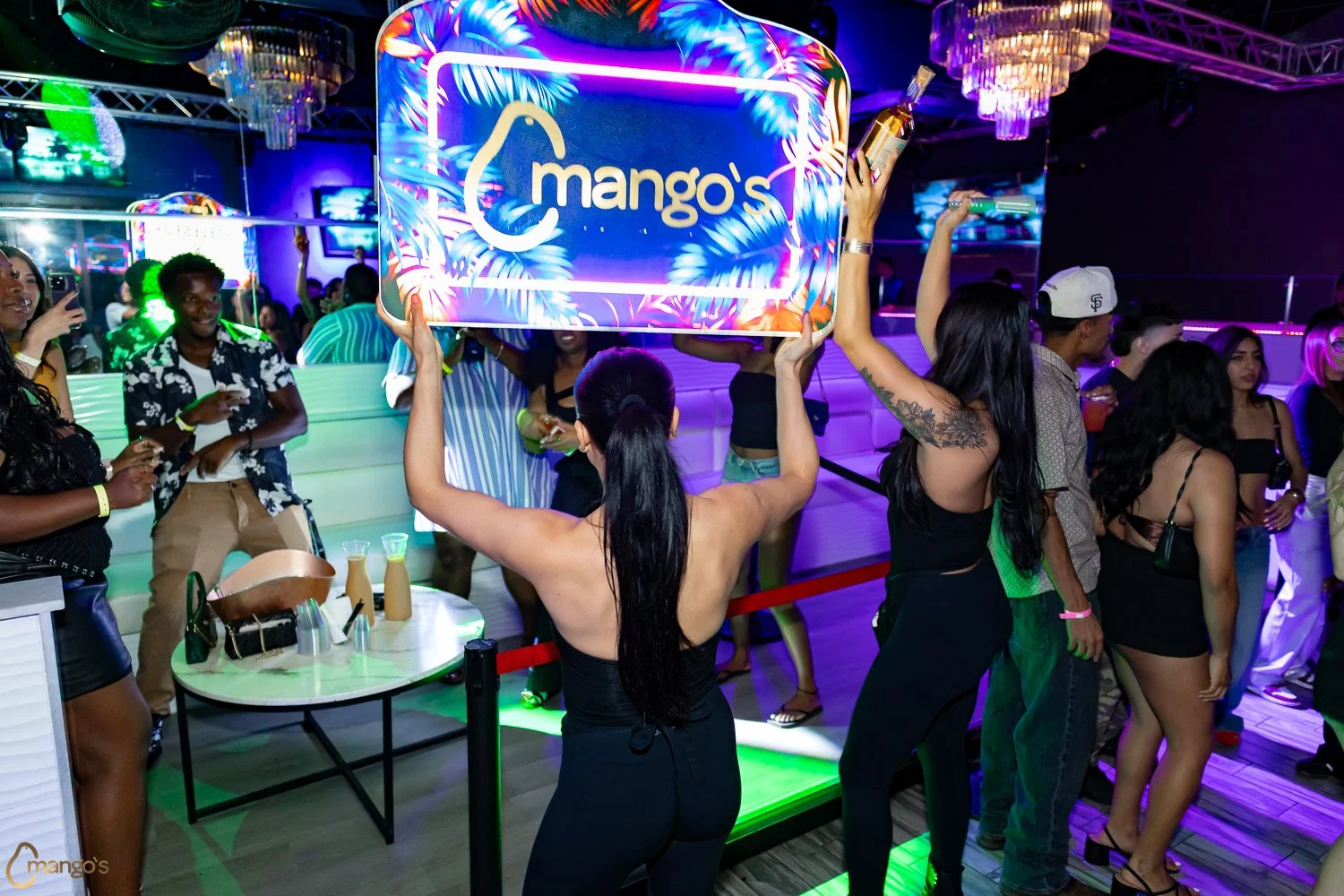 2026-06-19-Mangos-15.jpg