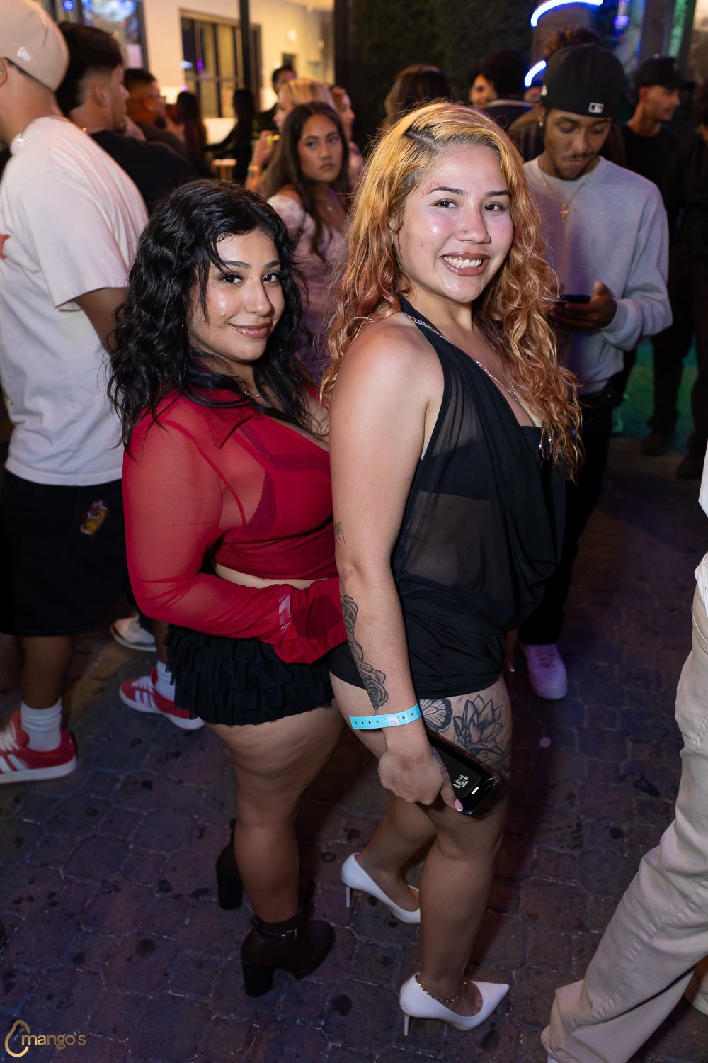 2026-07-10-Mangos-66.jpg
