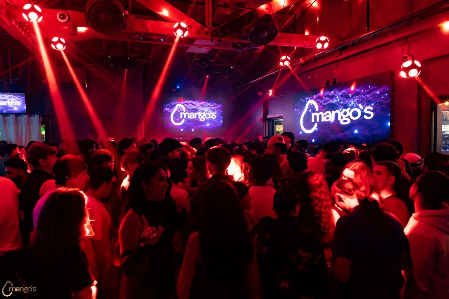 2026-10-02-Mangos-16.jpg