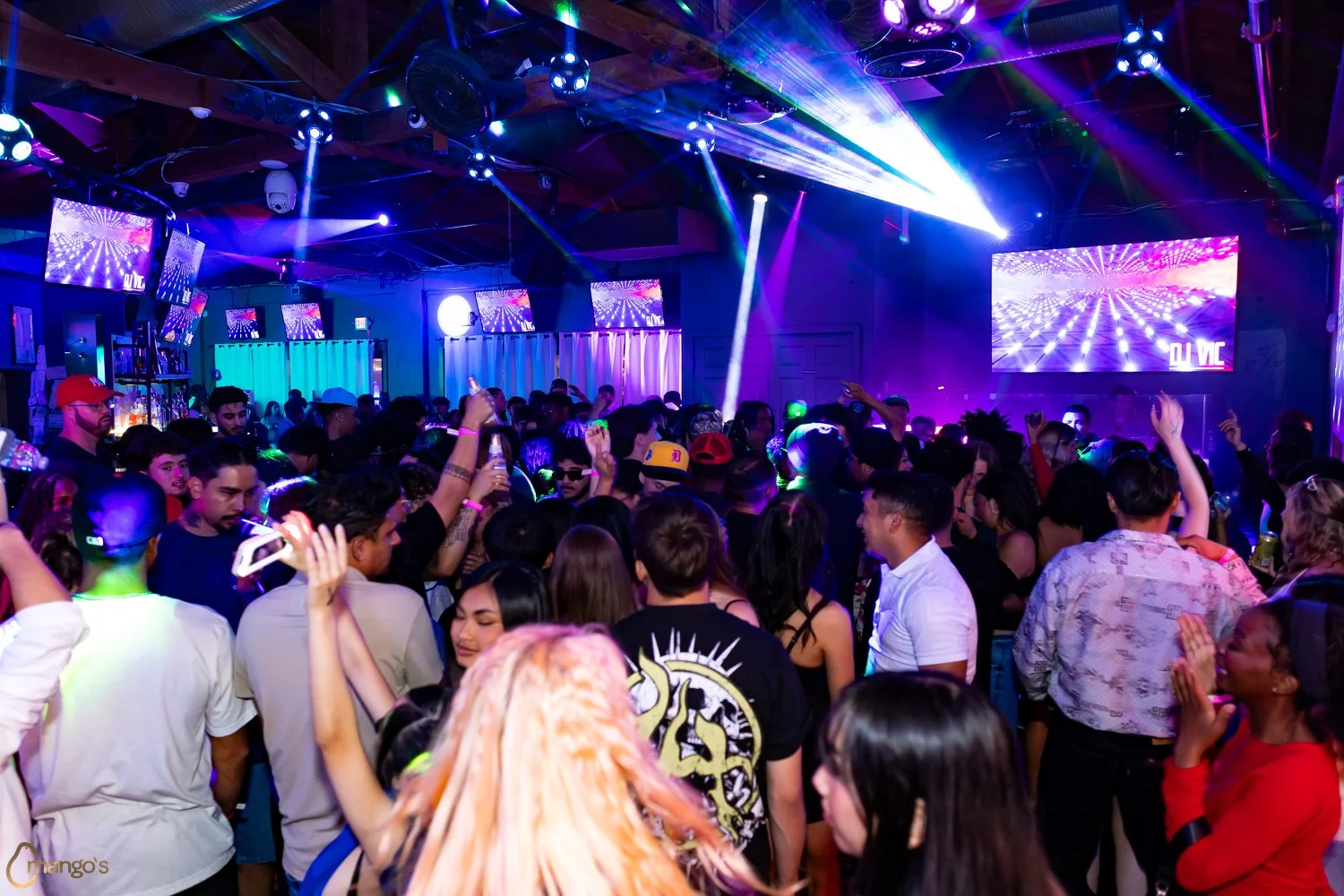 2026-06-12-Mangos-9.jpg