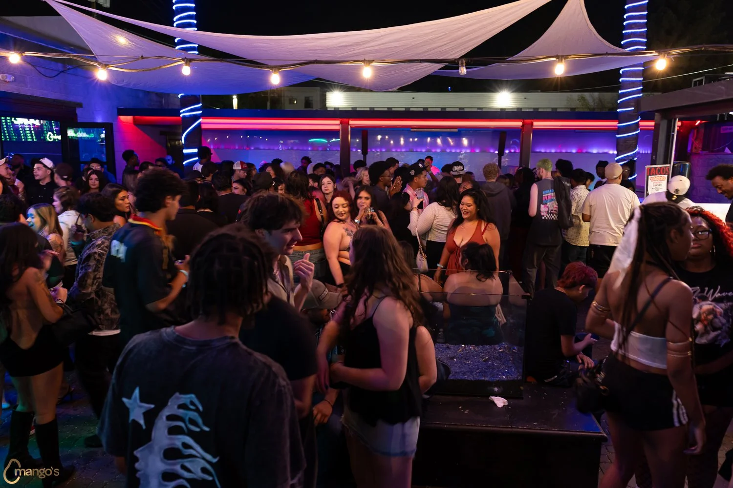 2026-07-10-Mangos-20.jpg