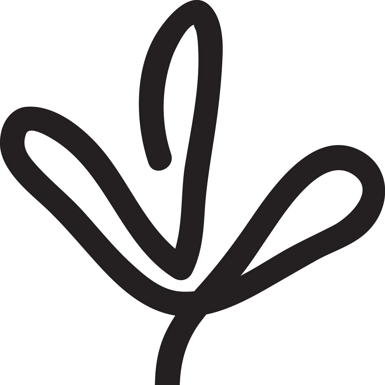 Embryo Donor and/or Embryo Recipient Consultation