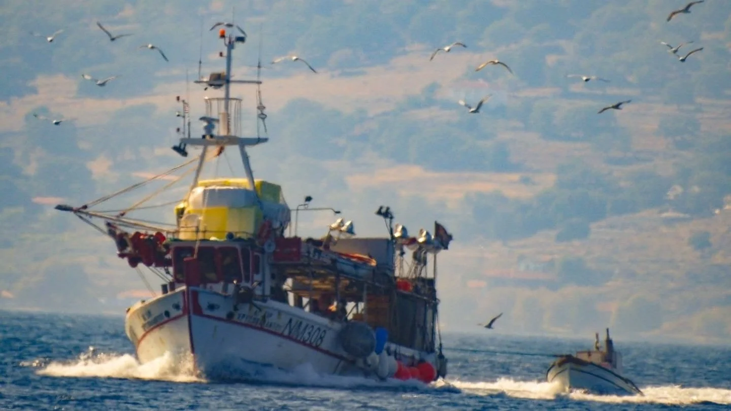 Το ψάρεμα της παλαμίδας