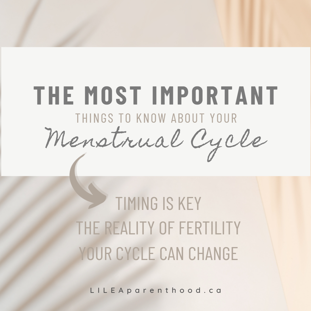 What They Should Have Taught You in School About Your Menstrual Cycle