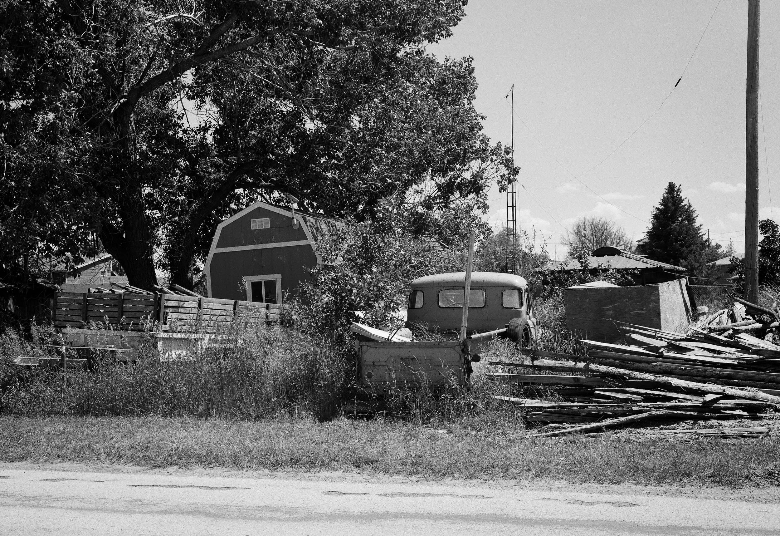 Forgotten and Overgrown.jpg