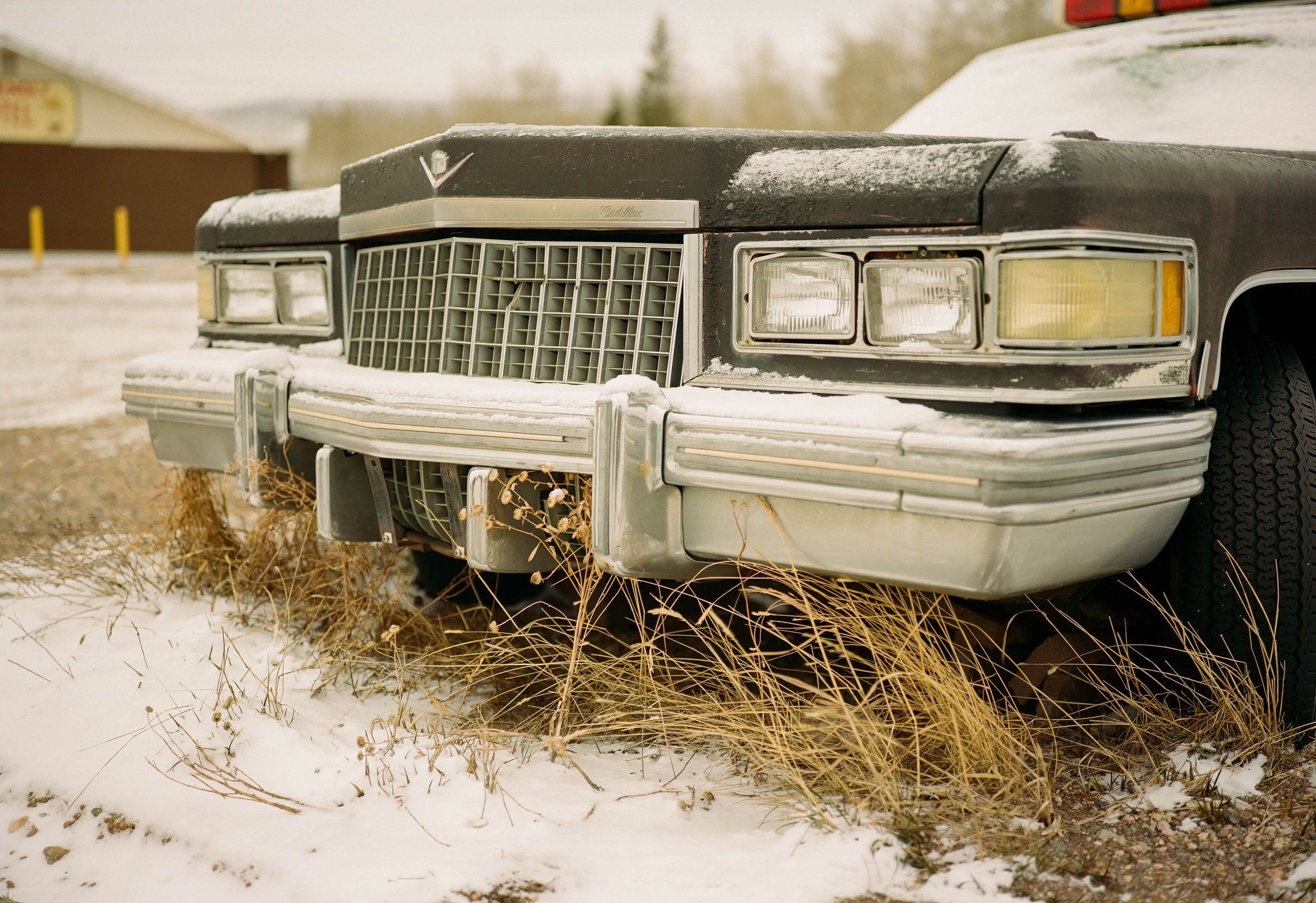Caddy Cruiser.jpg