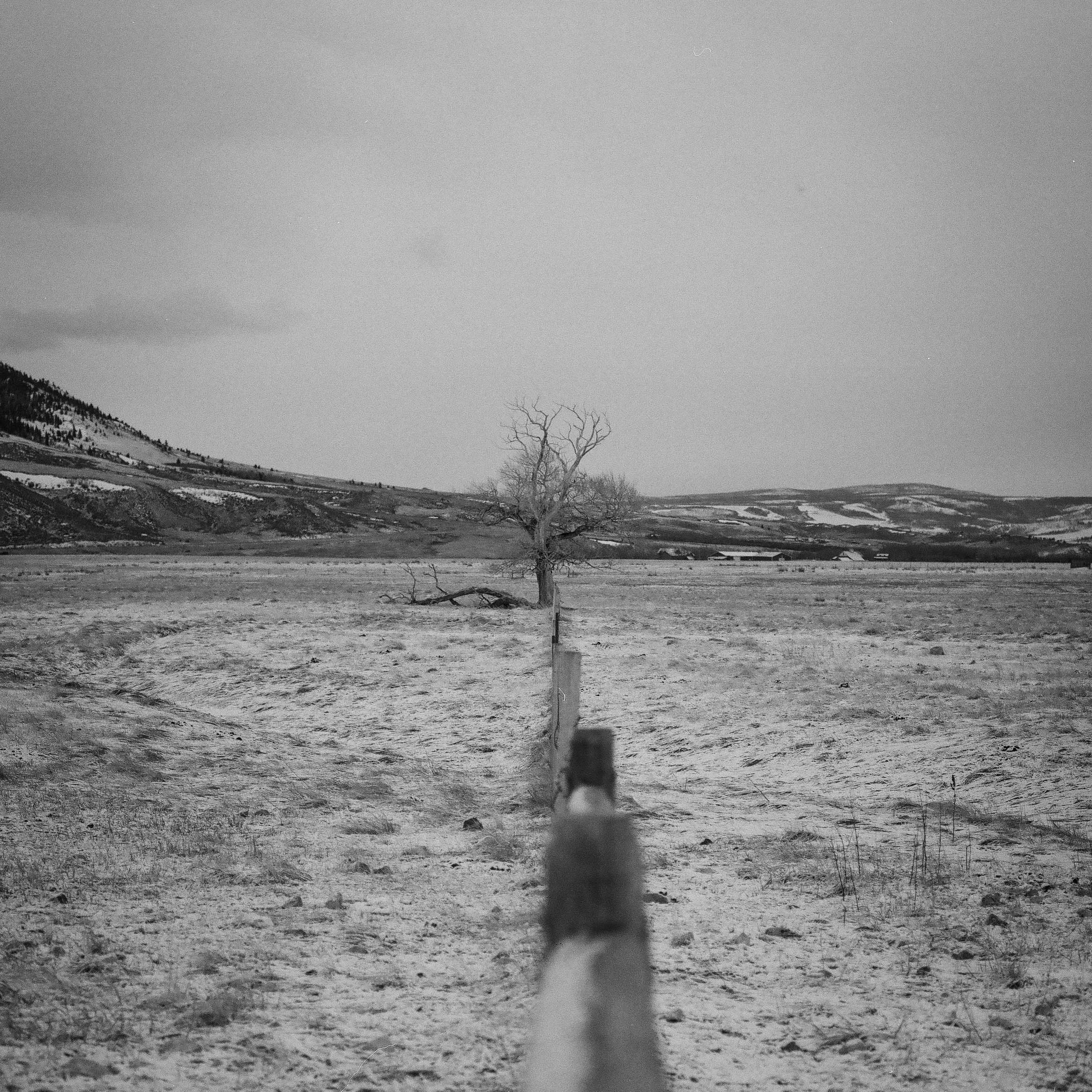 Walking the Fence Line.jpg
