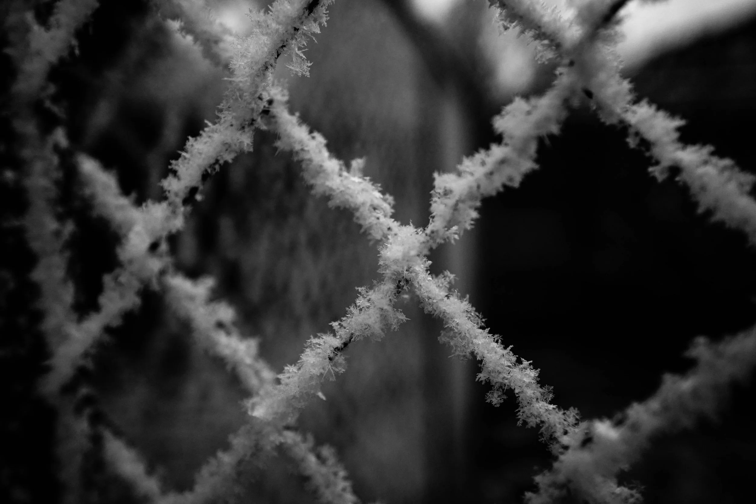 Icy Structures.jpg