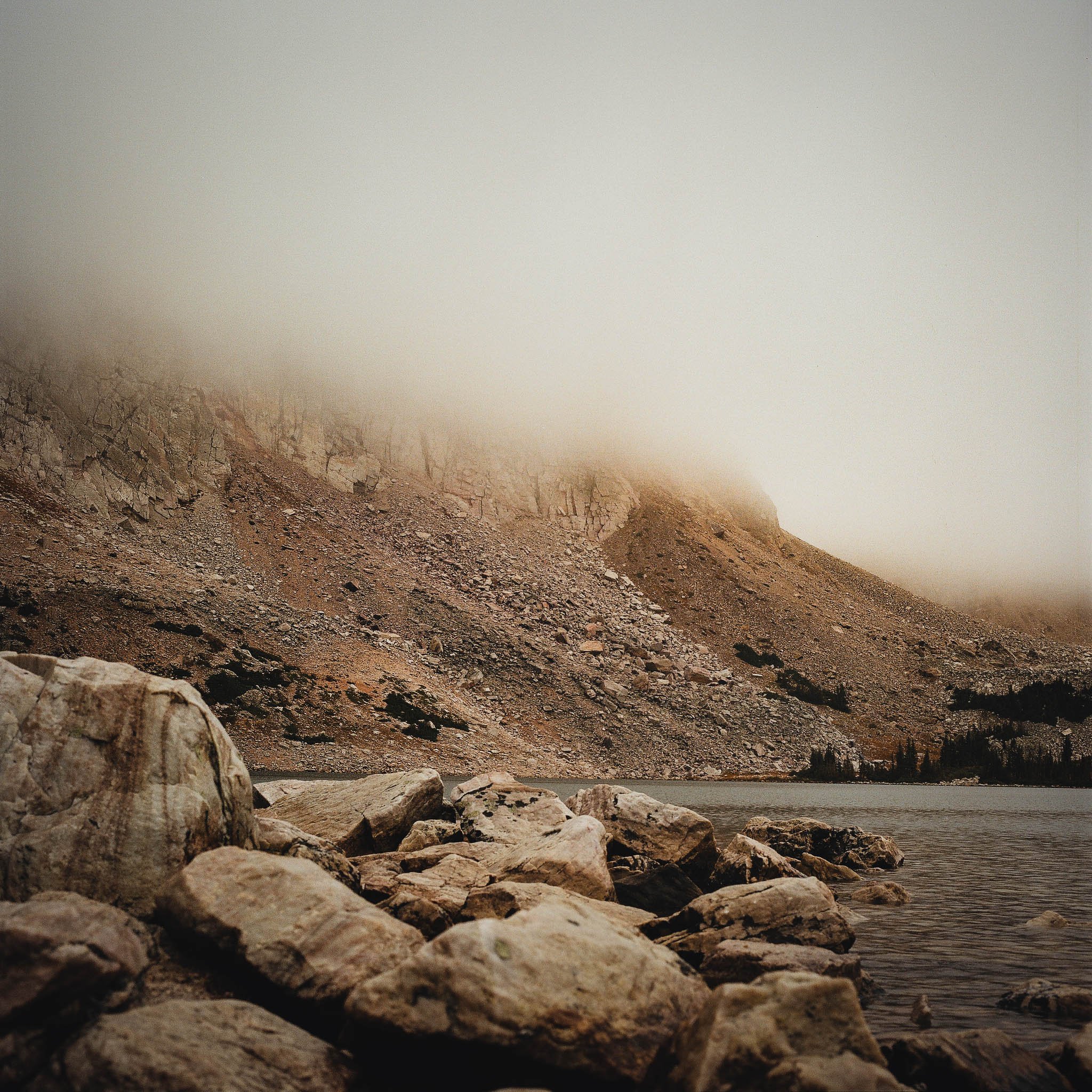 Enevloped in the Fog.jpg