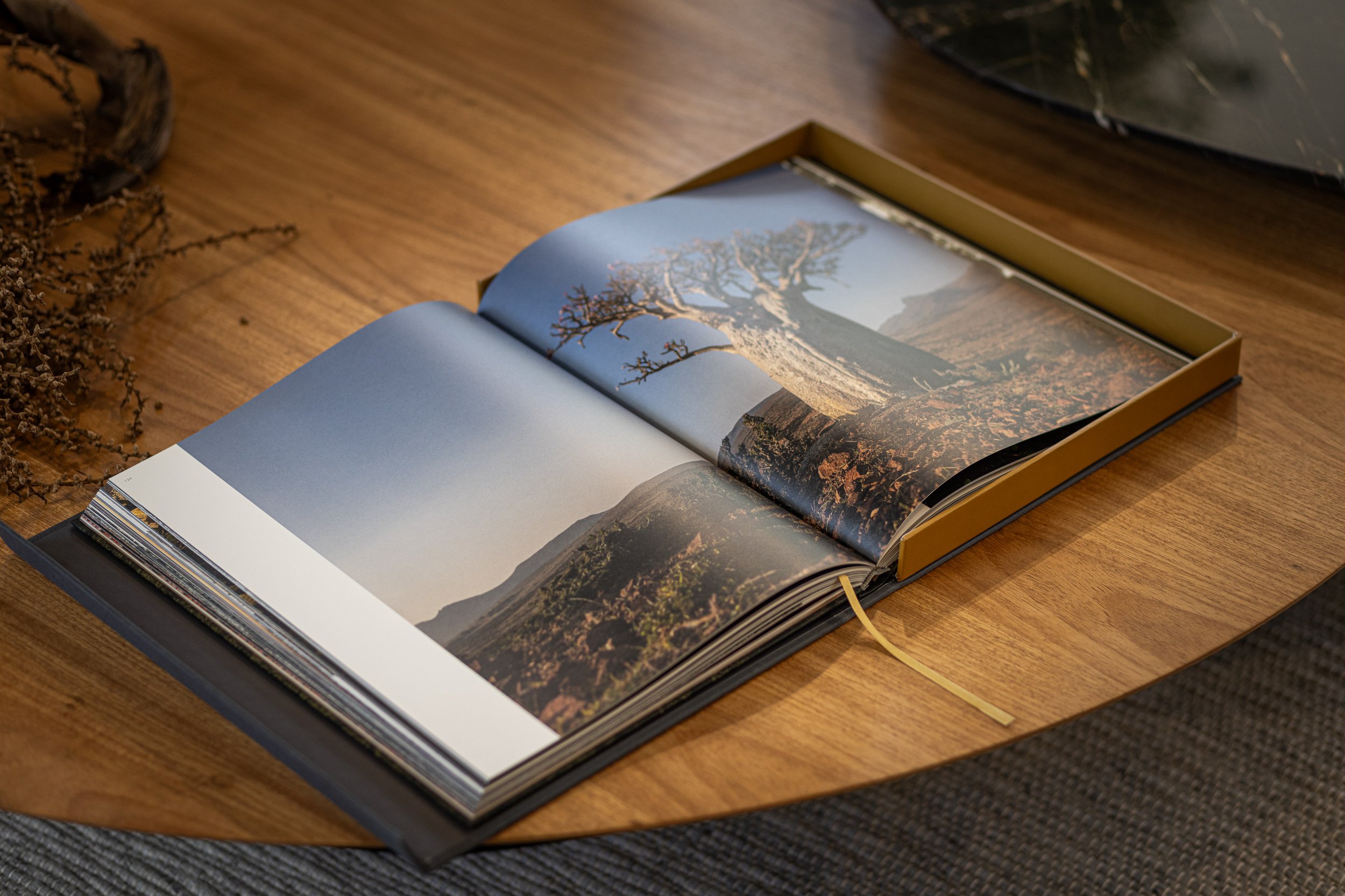 Treelogia caixa luxo-5159.jpg