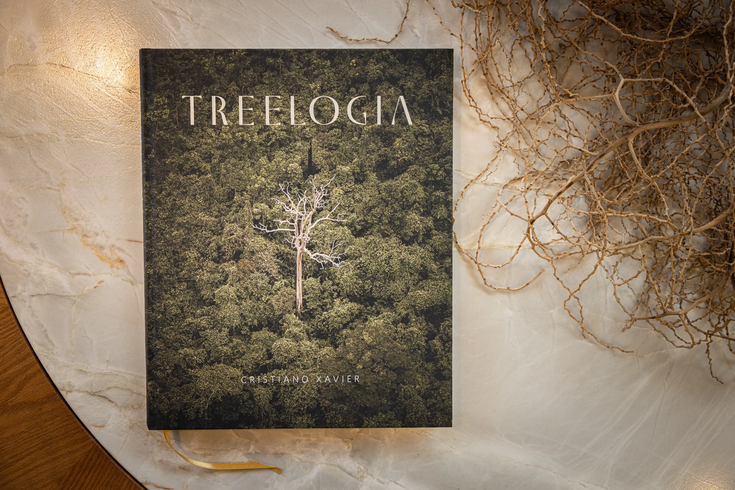 Treelogia caixa luxo-5284.jpg