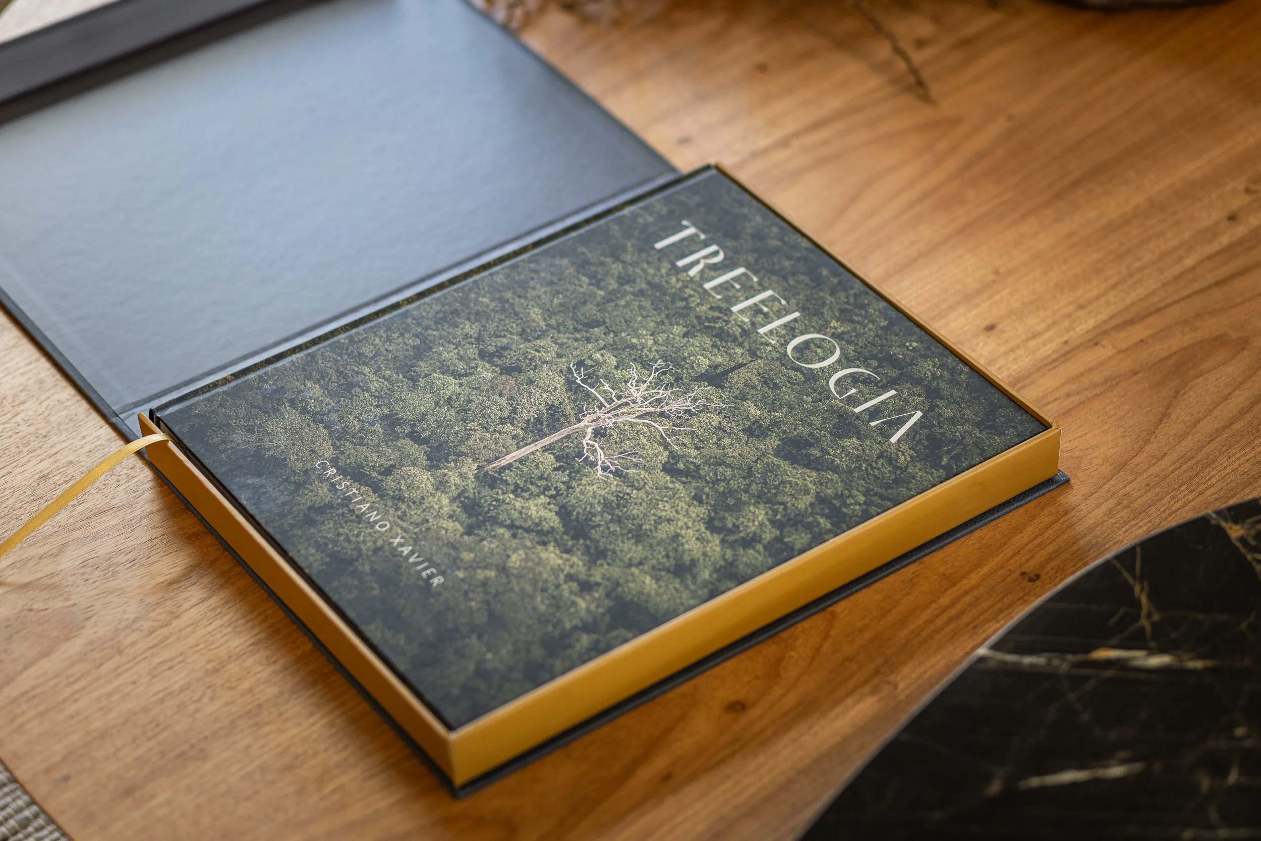 Treelogia caixa luxo-5161.jpg