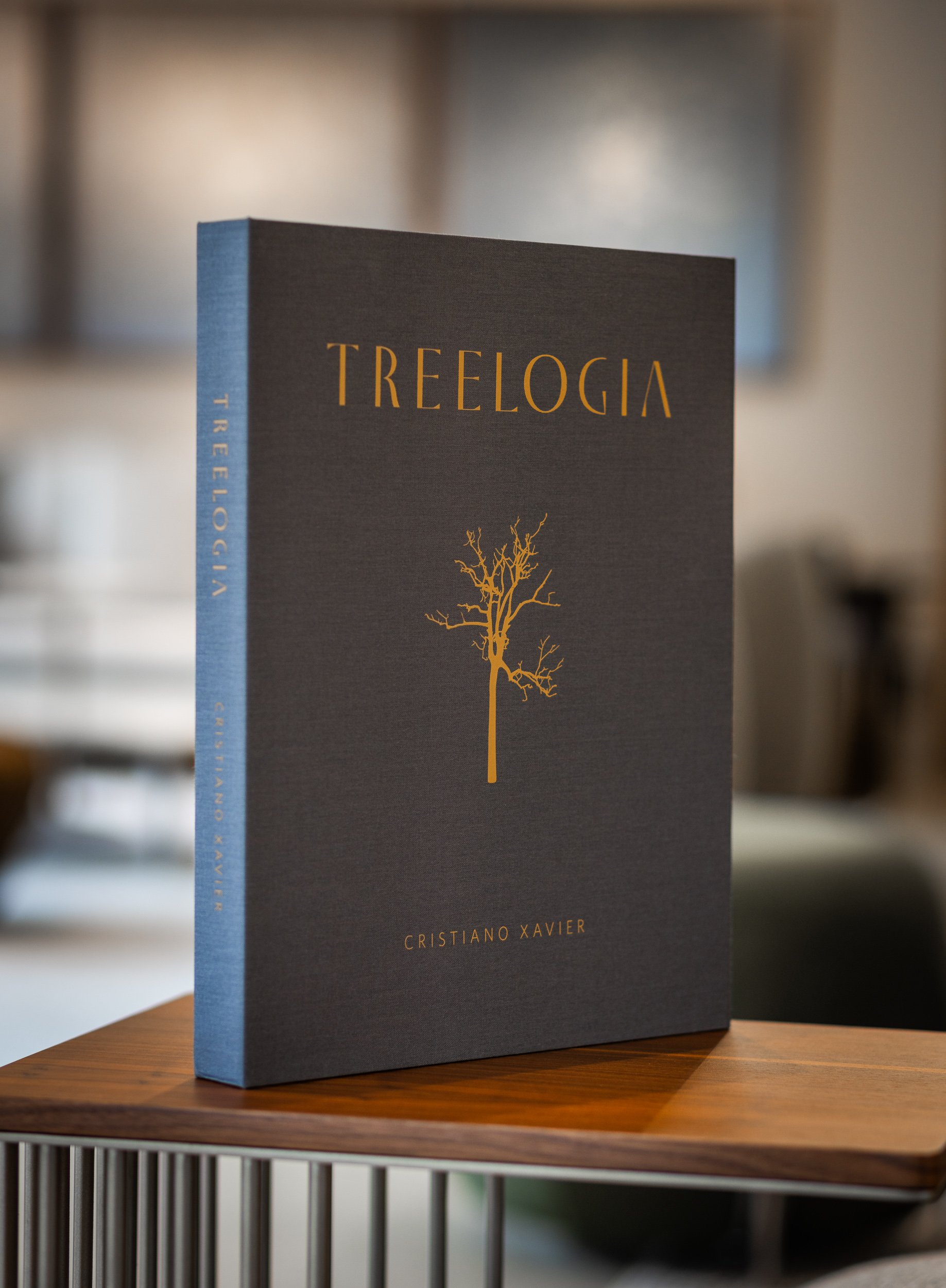 Treelogia caixa luxo-5185.jpg