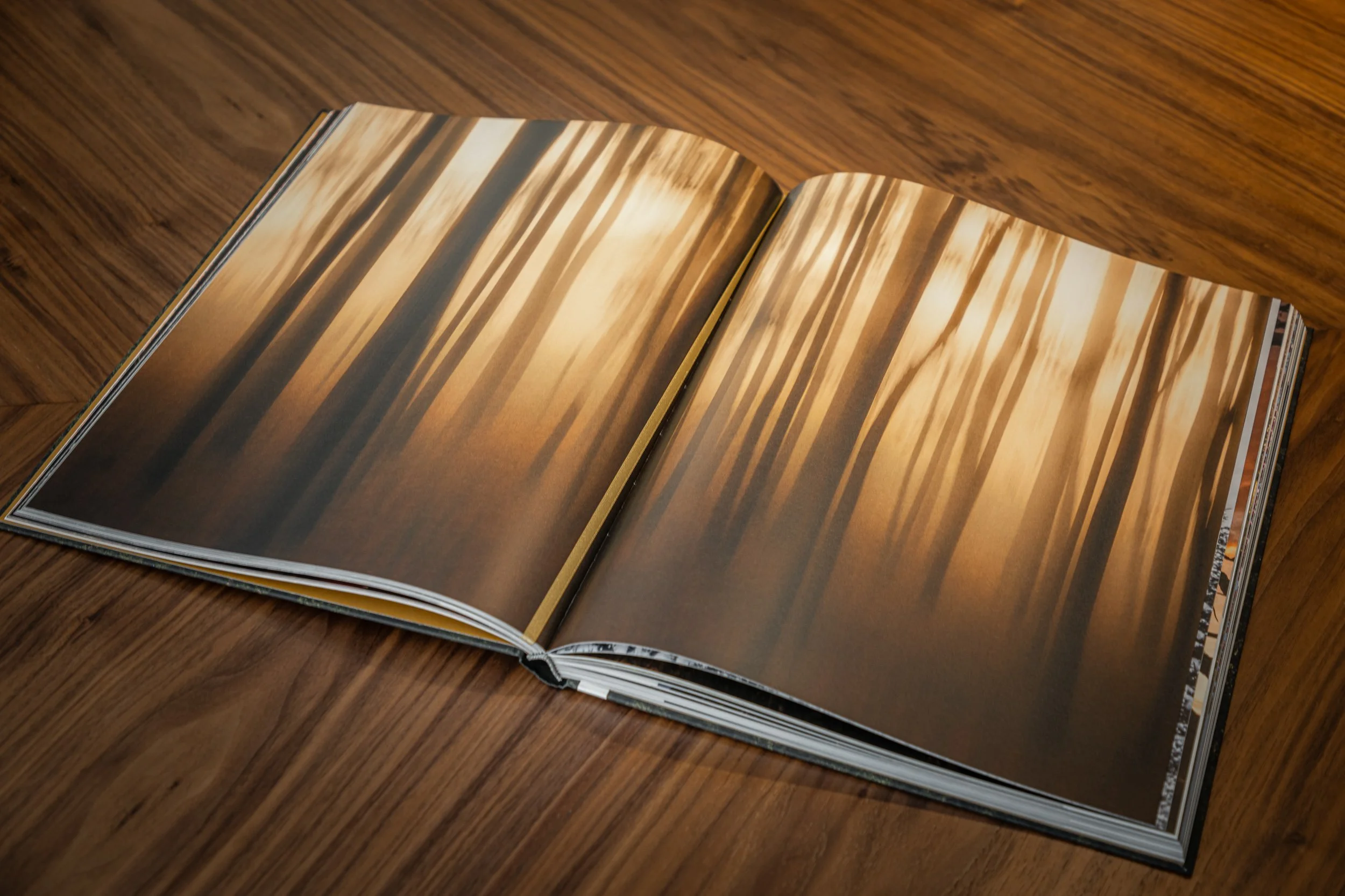 Treelogia caixa luxo-5233.jpg