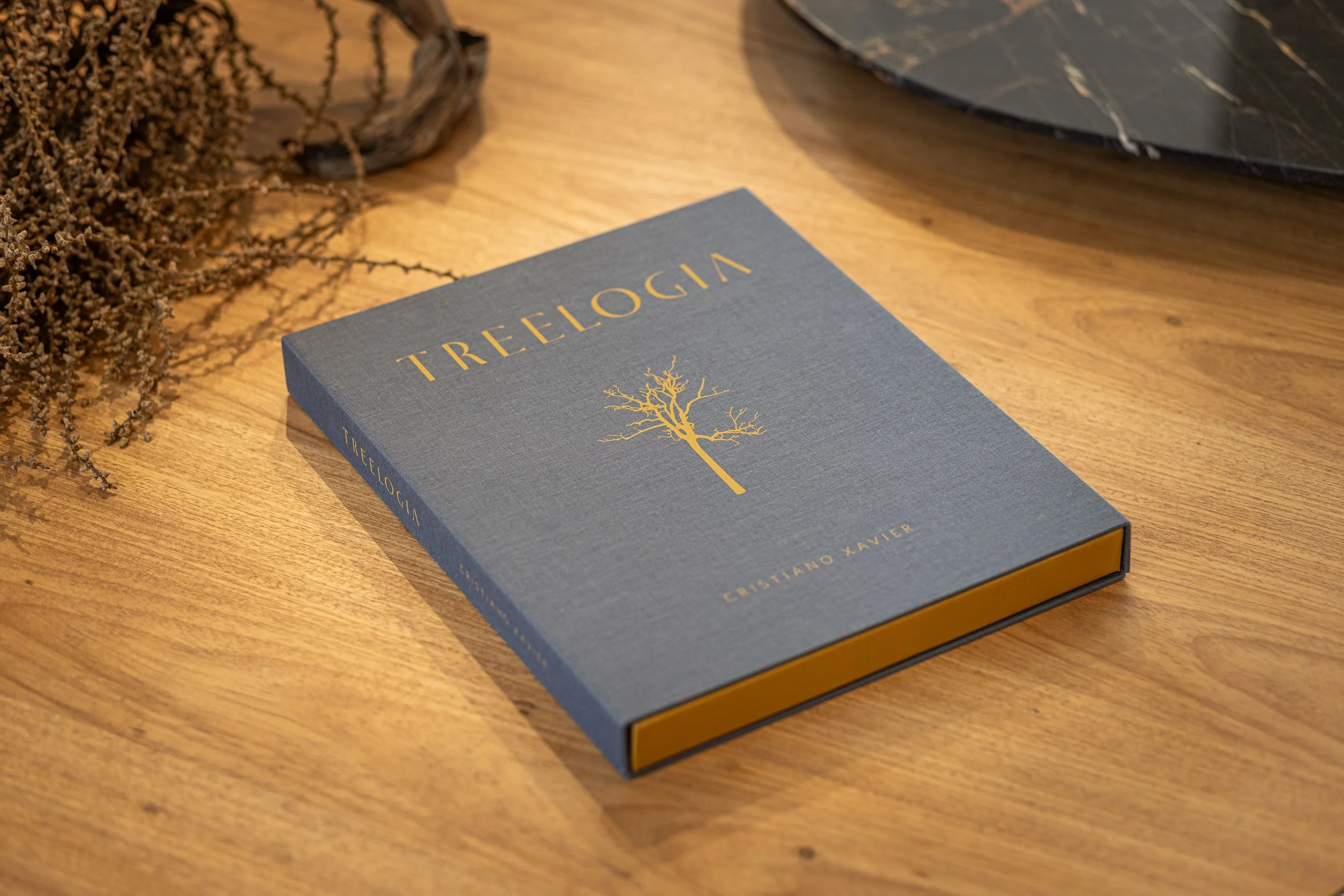 Treelogia caixa luxo-5162.jpg