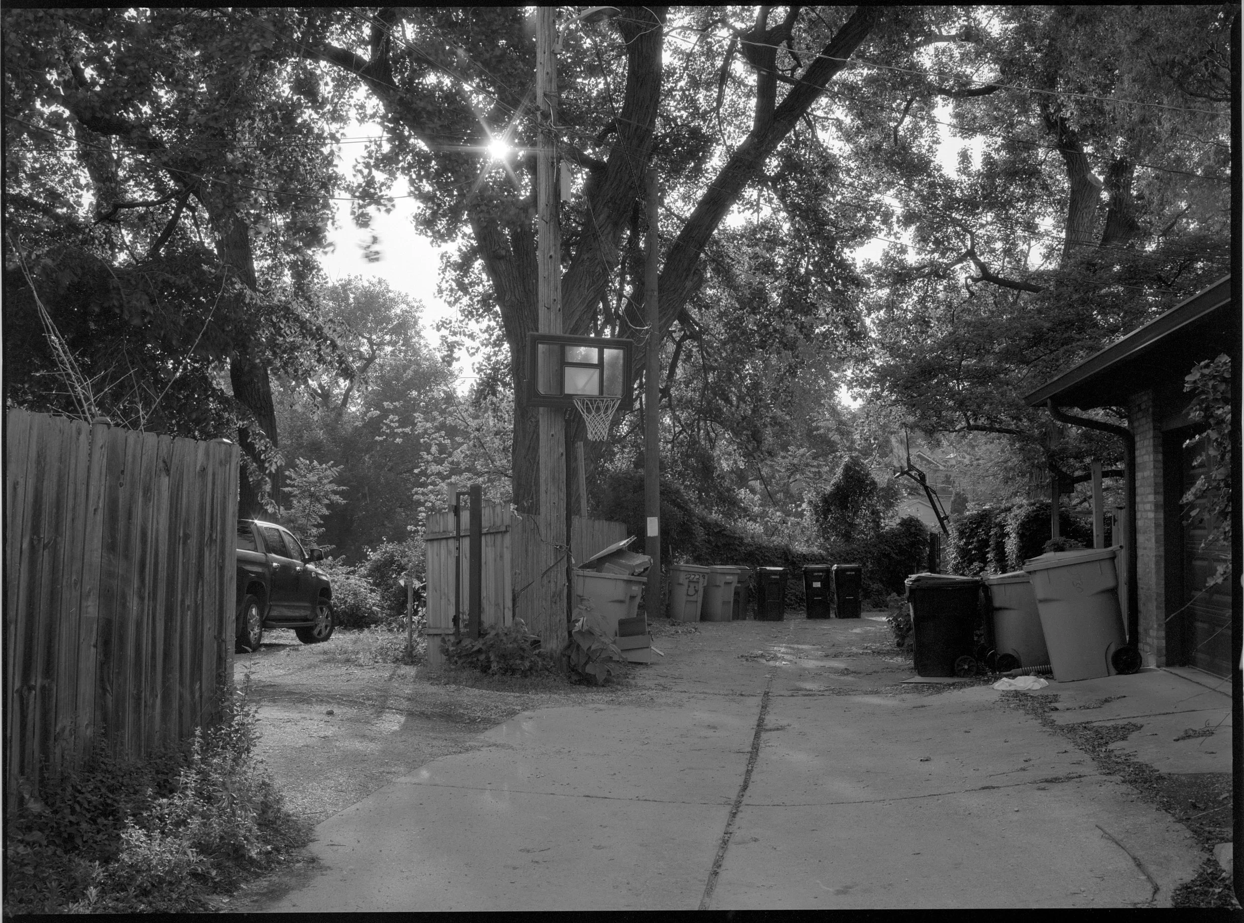 A backyard alleyway with trees overhead, a basketball hoop mounted on a utility pole, a parked truck on the left, and multiple garbage cans and recycling bins lined up on the right side of the alley. Wooden fences border the yard on the left, and par