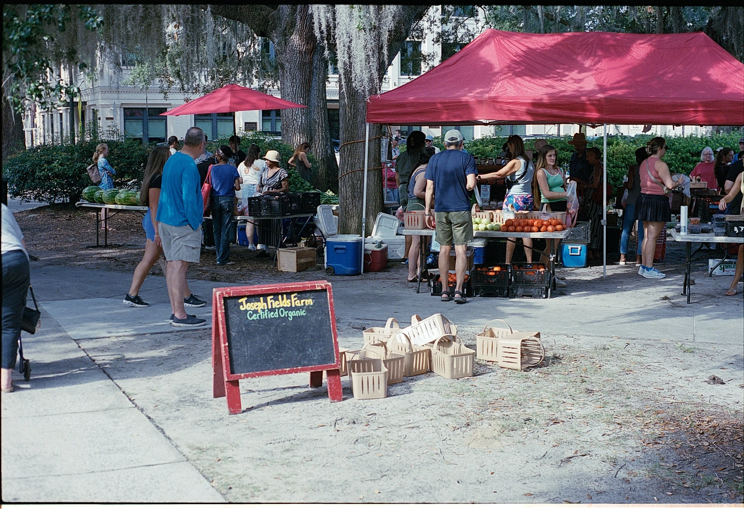 Farmers market with people shopping for fresh produce under red tents, including tomatoes, onions, and watermelons, with a signboard reading 'Joseph Fields Farm Certified Organic'.