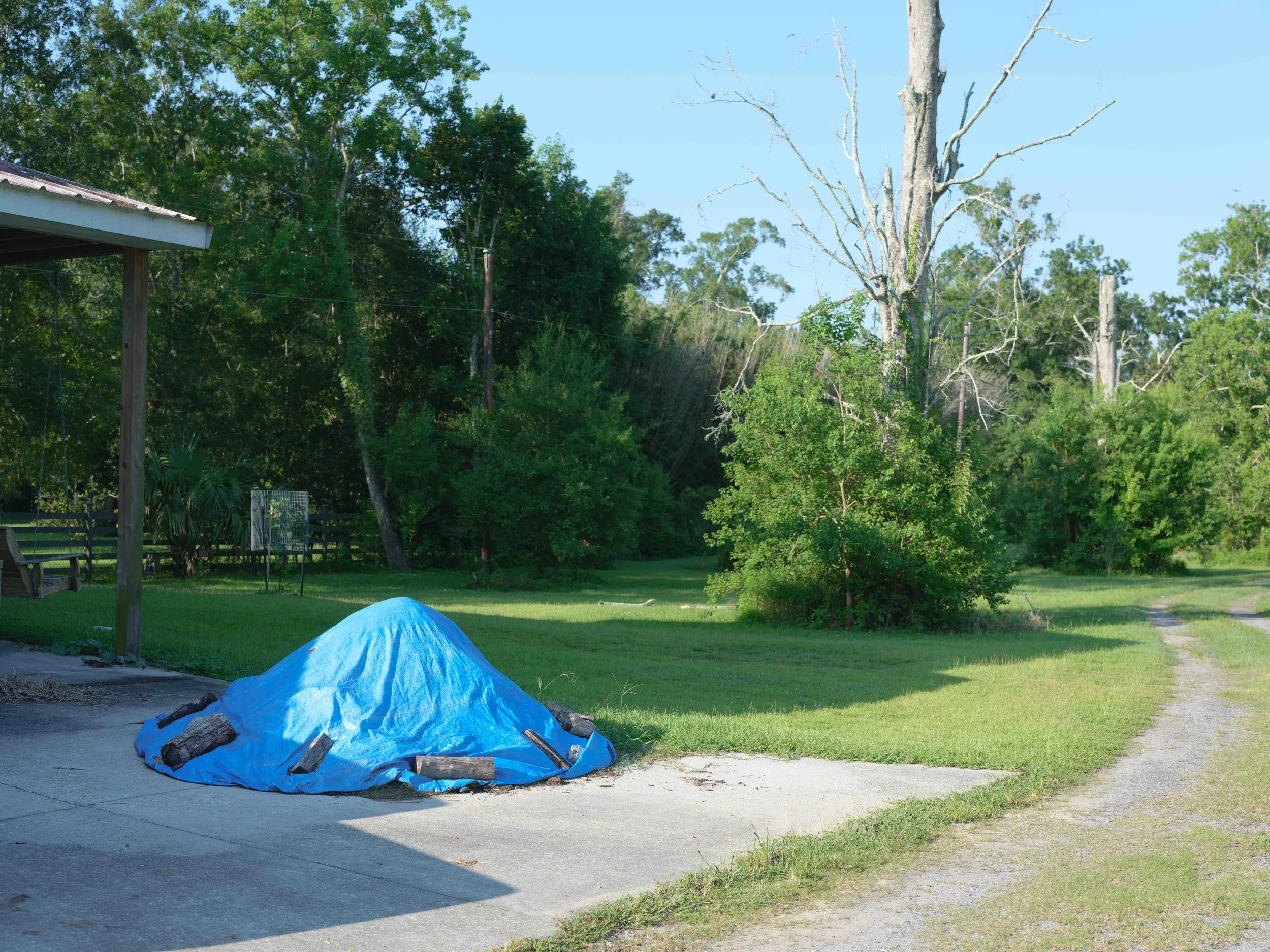 A blue tarp covering a pile of logs on a concrete patio, with a grassy yard and trees in the background.