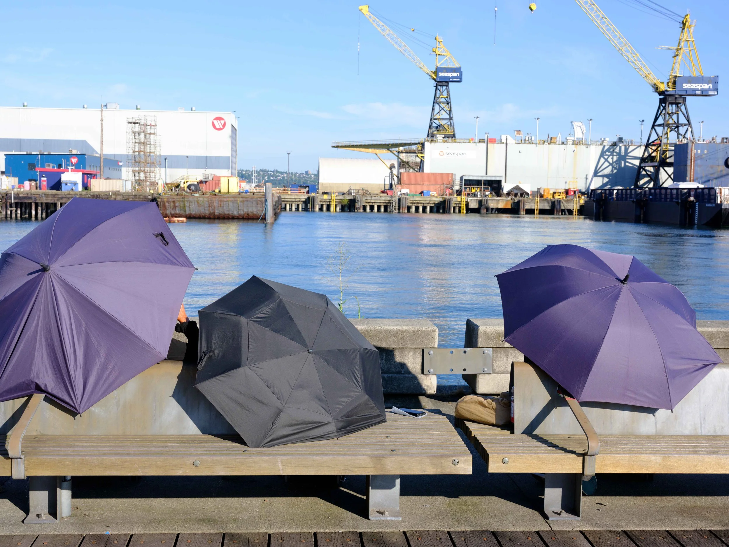 Three purple umbrellas and one black umbrella open on a wooden bench along a waterfront, with industrial cranes, warehouses, and docks visible across the water on a sunny day.