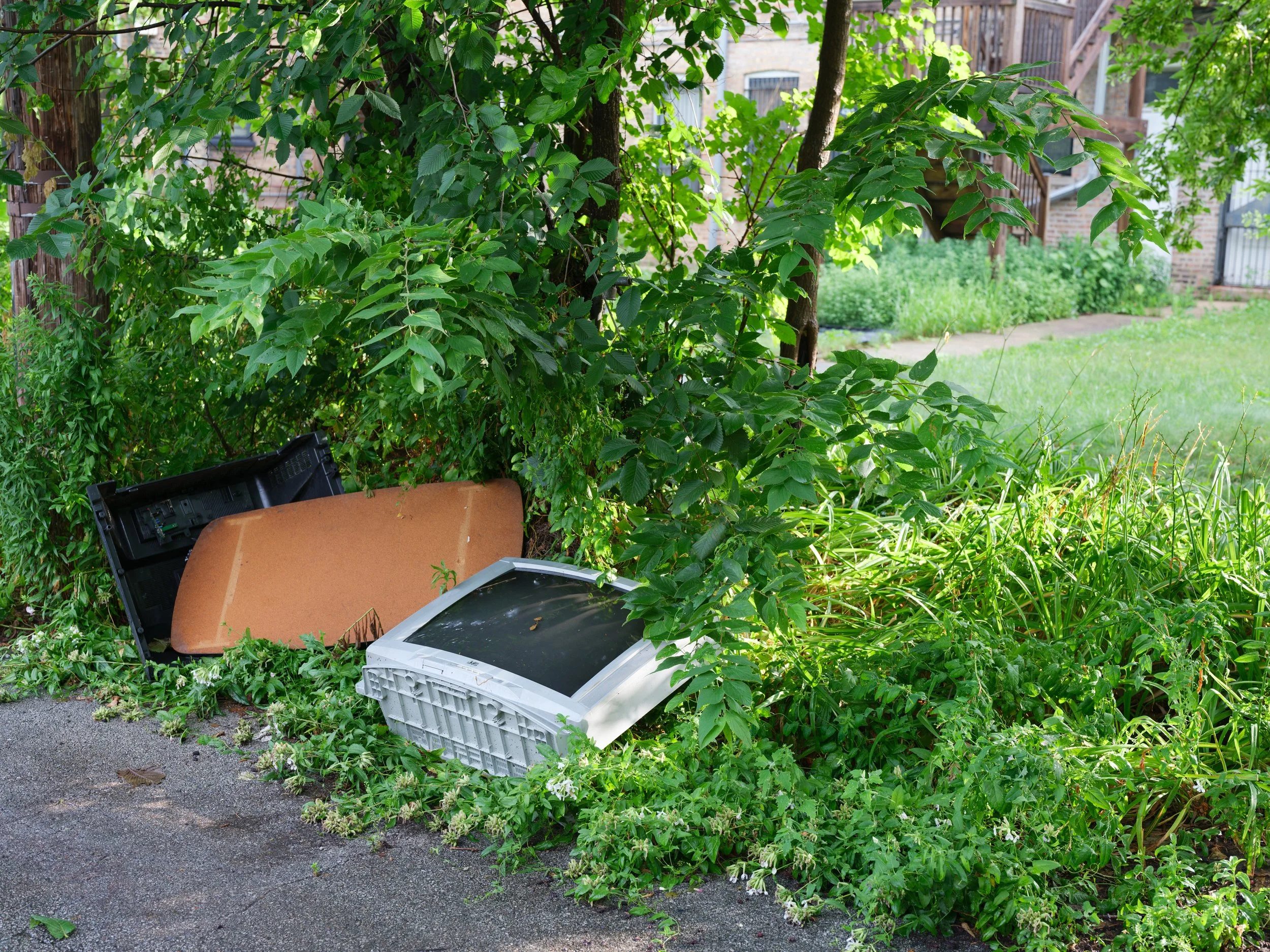Discarded television set and parts on a sidewalk next to overgrown bushes and grass in a residential yard.