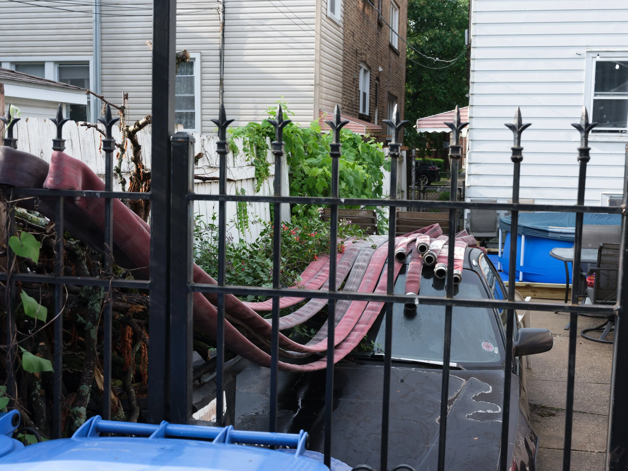 A parked black car with multiple large red hoses and green plants on its roof, behind a black metal fence in a small backyard with white wooden fence and neighboring houses.