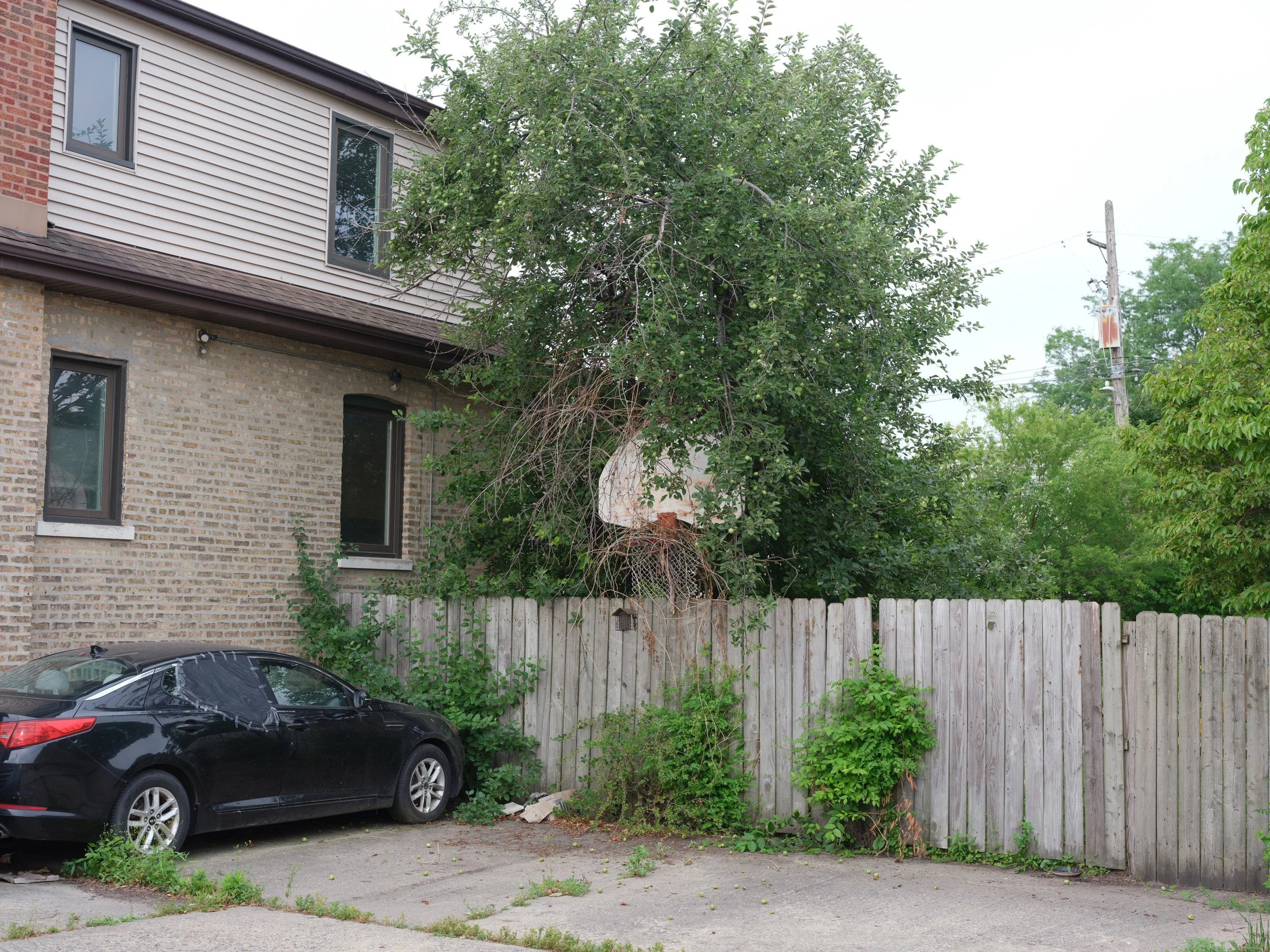 A black car parked in front of a wooden fence with lush green plants and trees, a brick and beige siding building in the background, and a basketball hoop with a backboard attached to the fence. A utility pole is visible in the background.