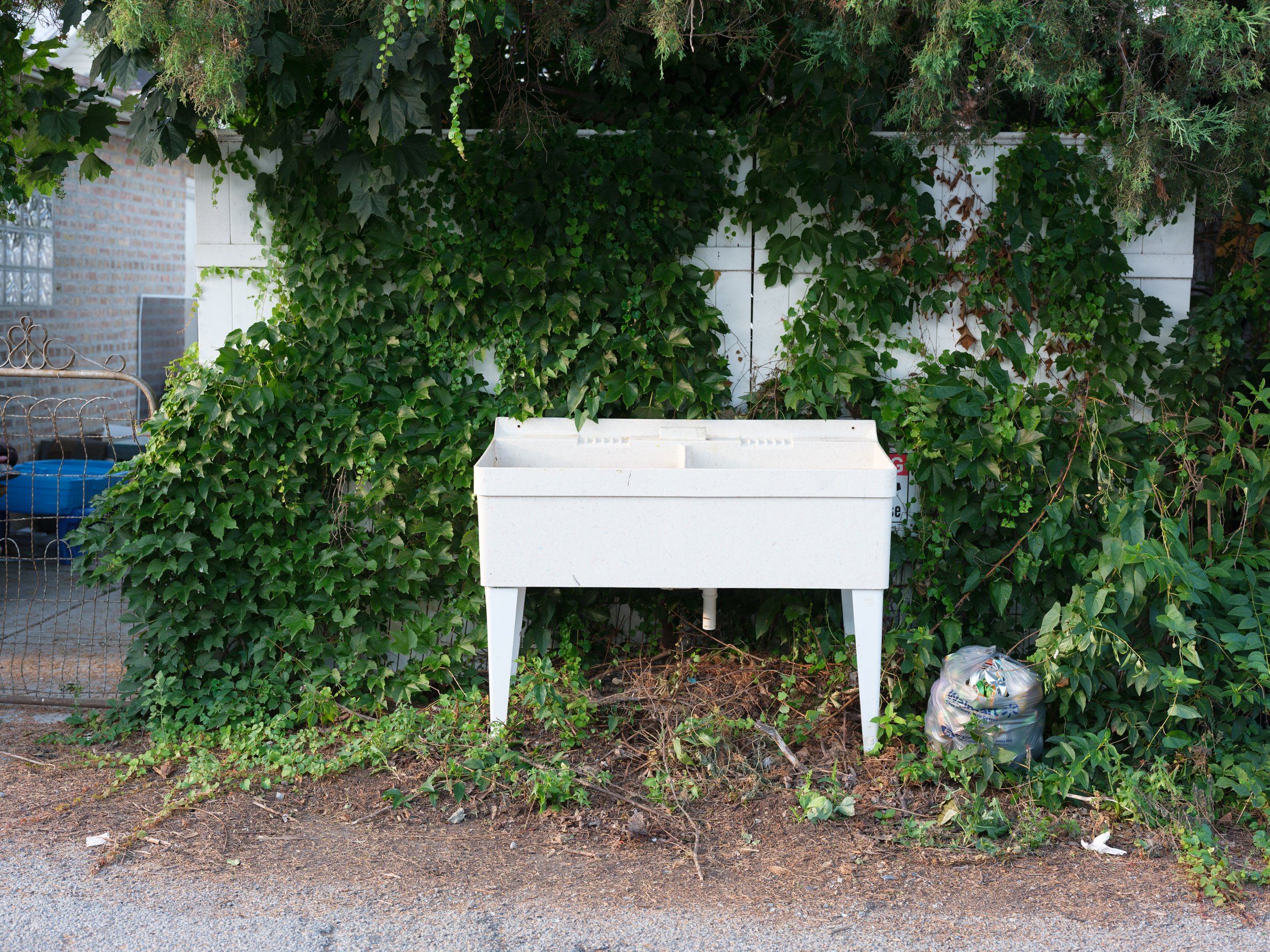 A white outdoor sink or washbasin on four legs, placed against a leafy green wall with various vines and shrubs, near a brick wall and a metal fence with a blue container on a patio or yard area, with some trash or bags of garbage nearby.