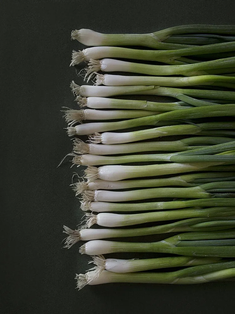 Food-Moody-46.webp