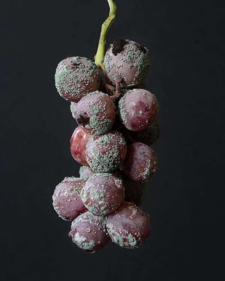 Grapes.webp