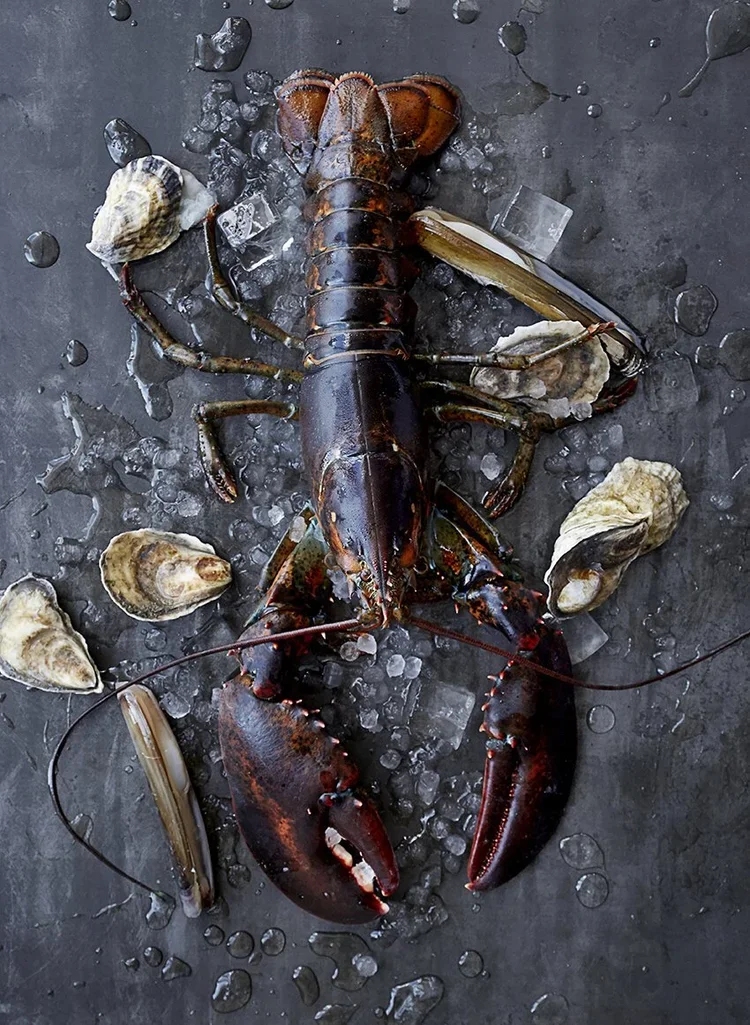 5332-LobsterAndFriends-BlueTone.webp