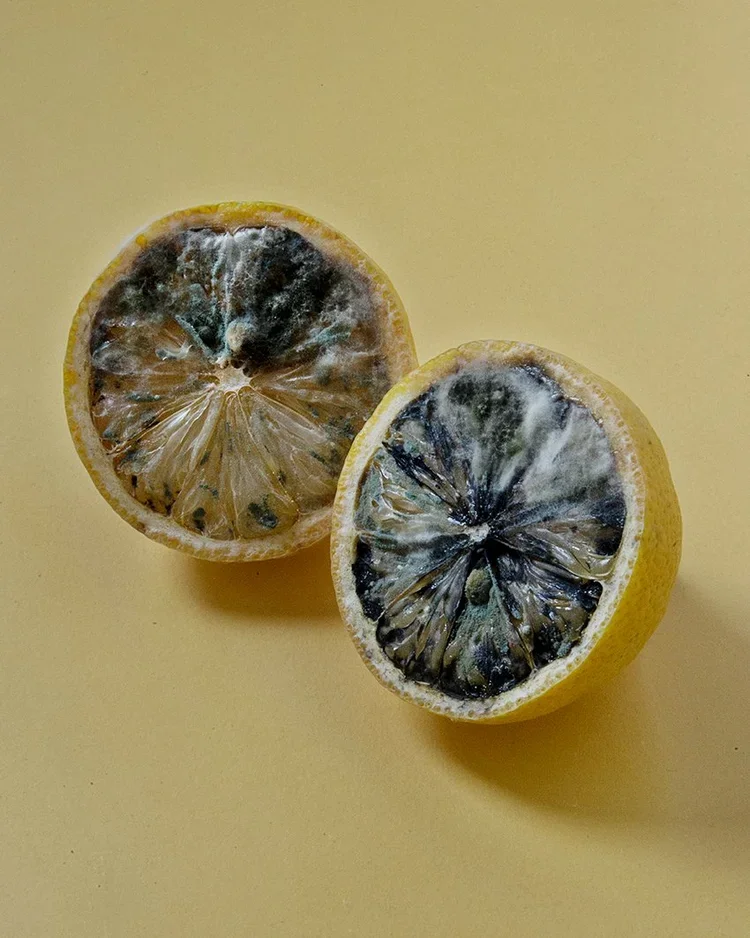 Lemons.webp