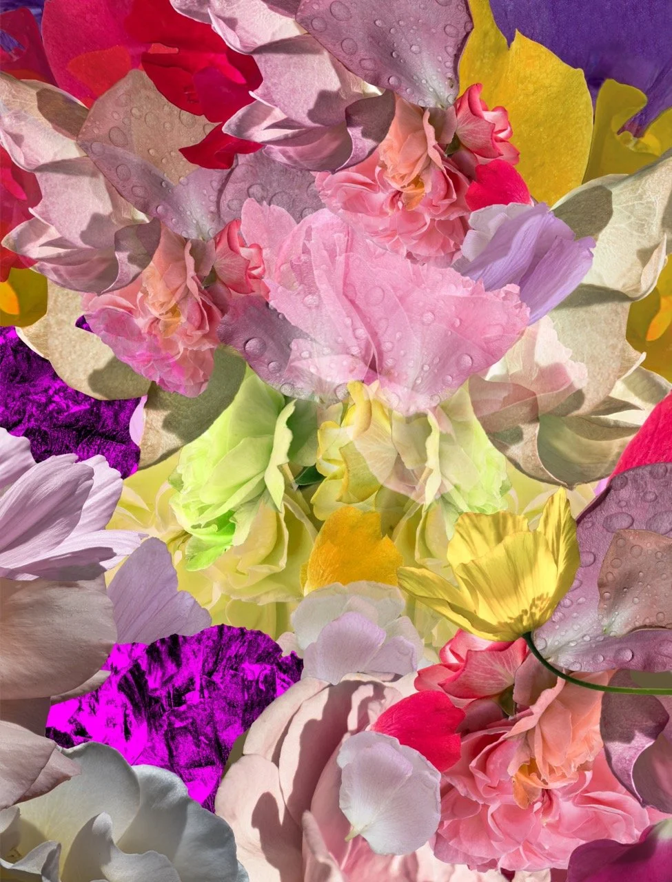 Groß (Blumenwolke 2 Gelb und Rosa).jpeg