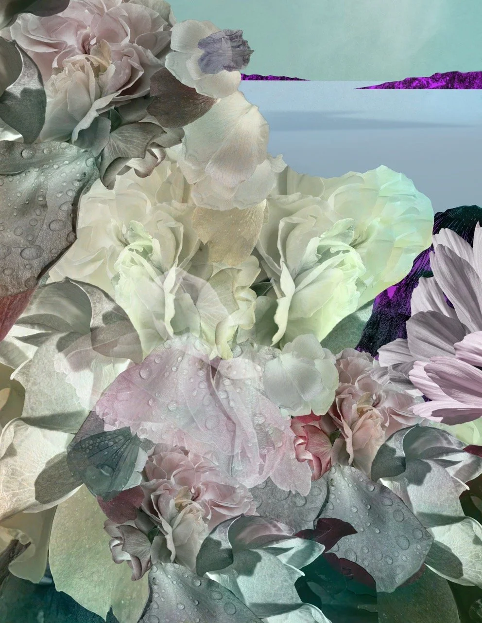 Groß (Blumenwolke Lila und Grün vor Meer).jpeg