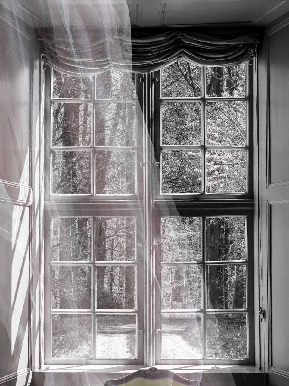 WEB (PB240030 mit Velo).jpeg