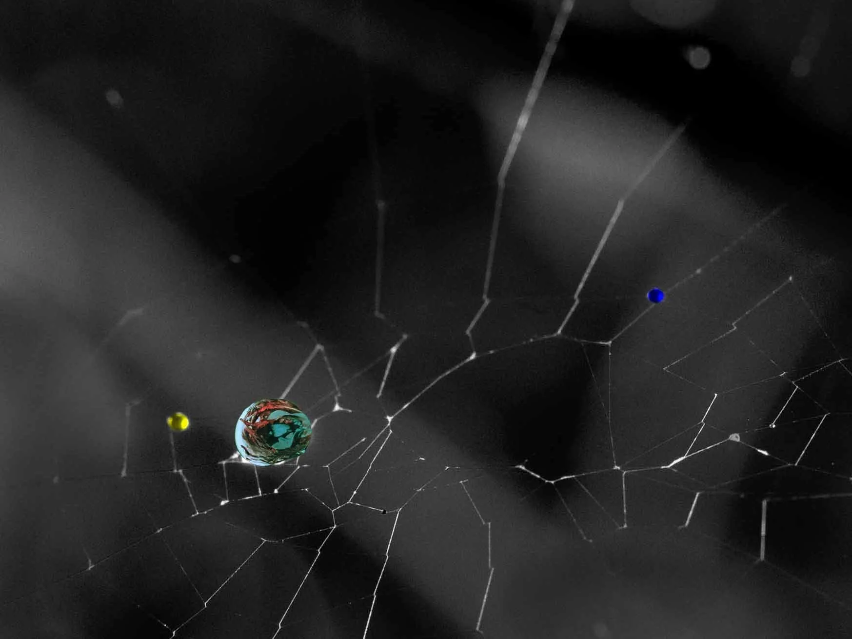 New Tales From a Meadow