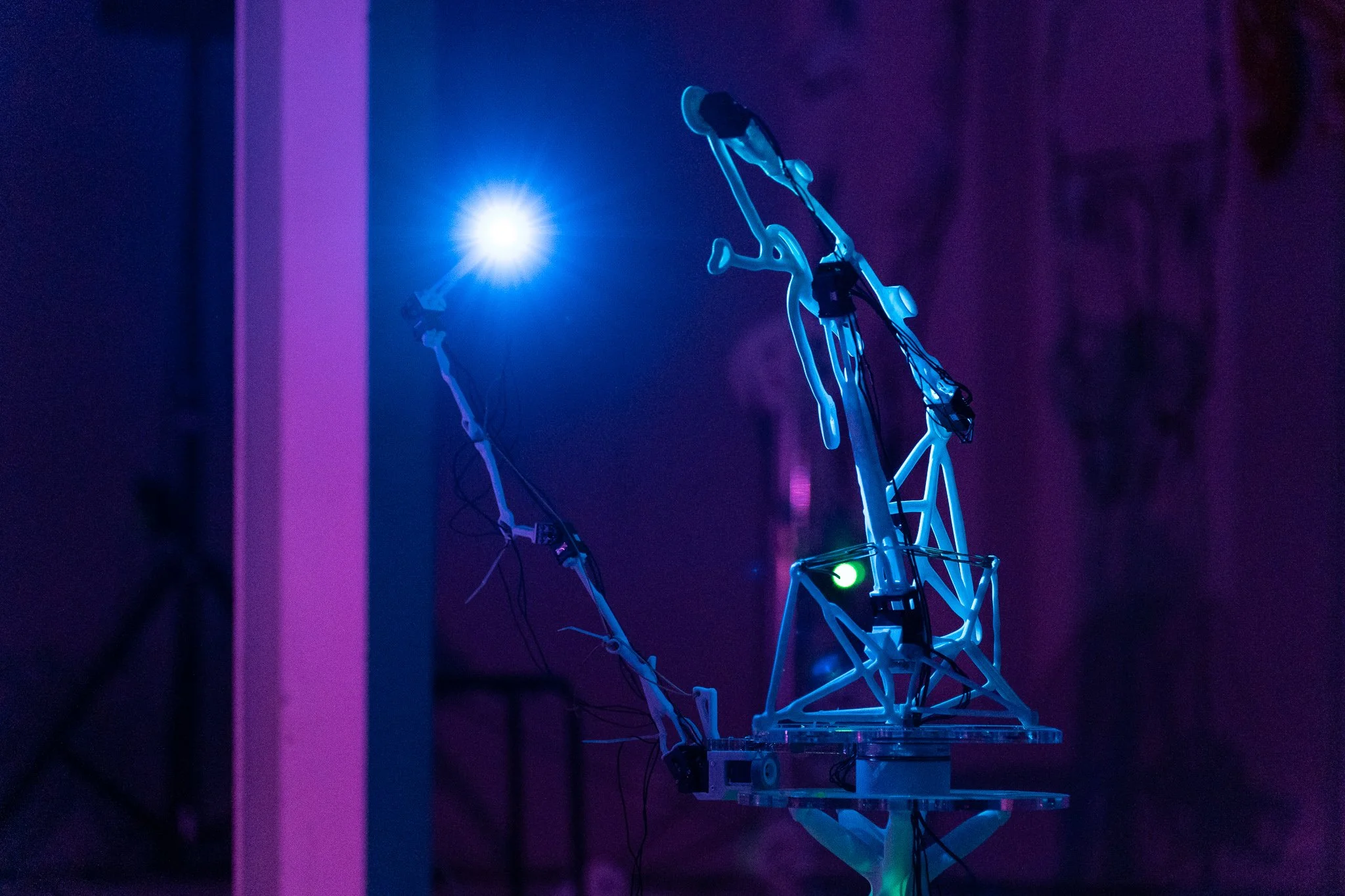 Photo: Runa Halleraker.