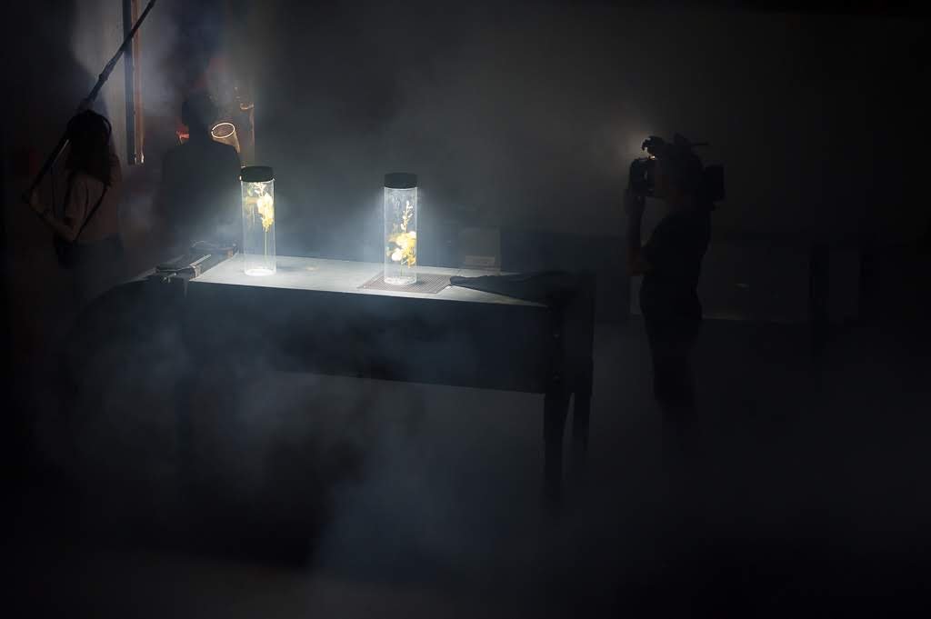 DZ6_7351-32.jpg