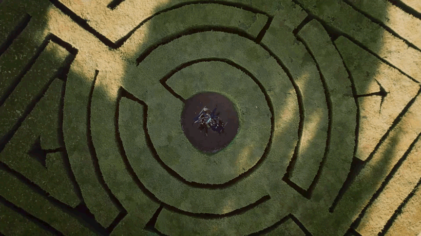 MAZE-TOP-DOWN-small.gif