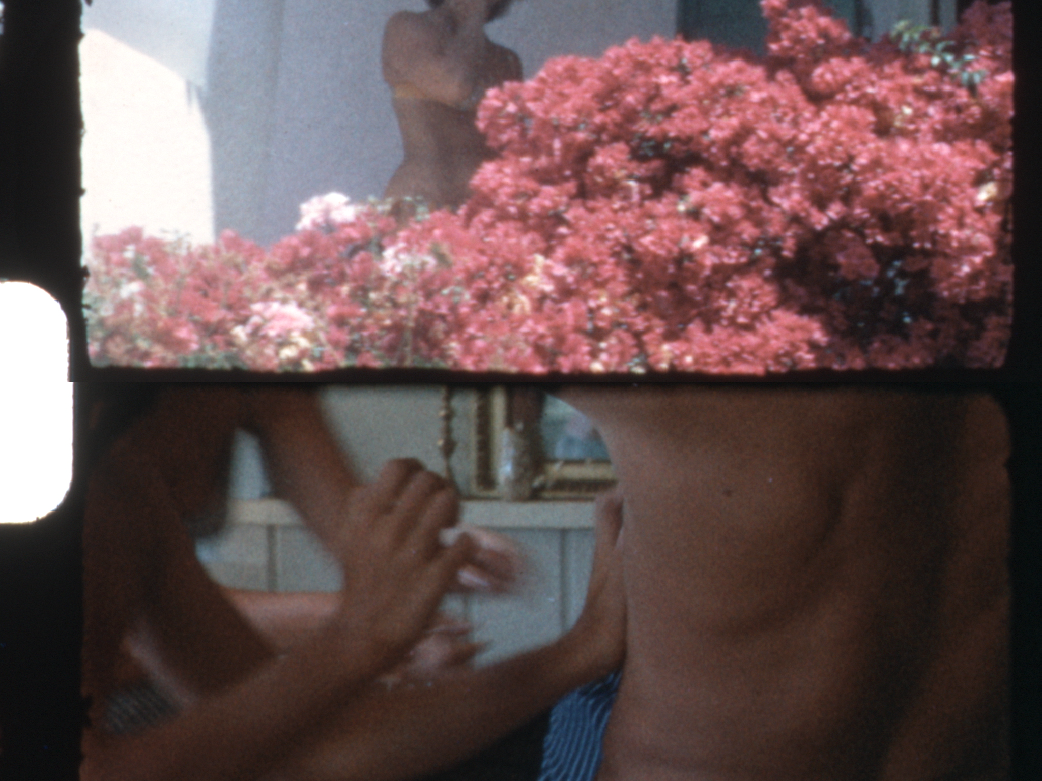 Fading Under the Sun_still 0.png