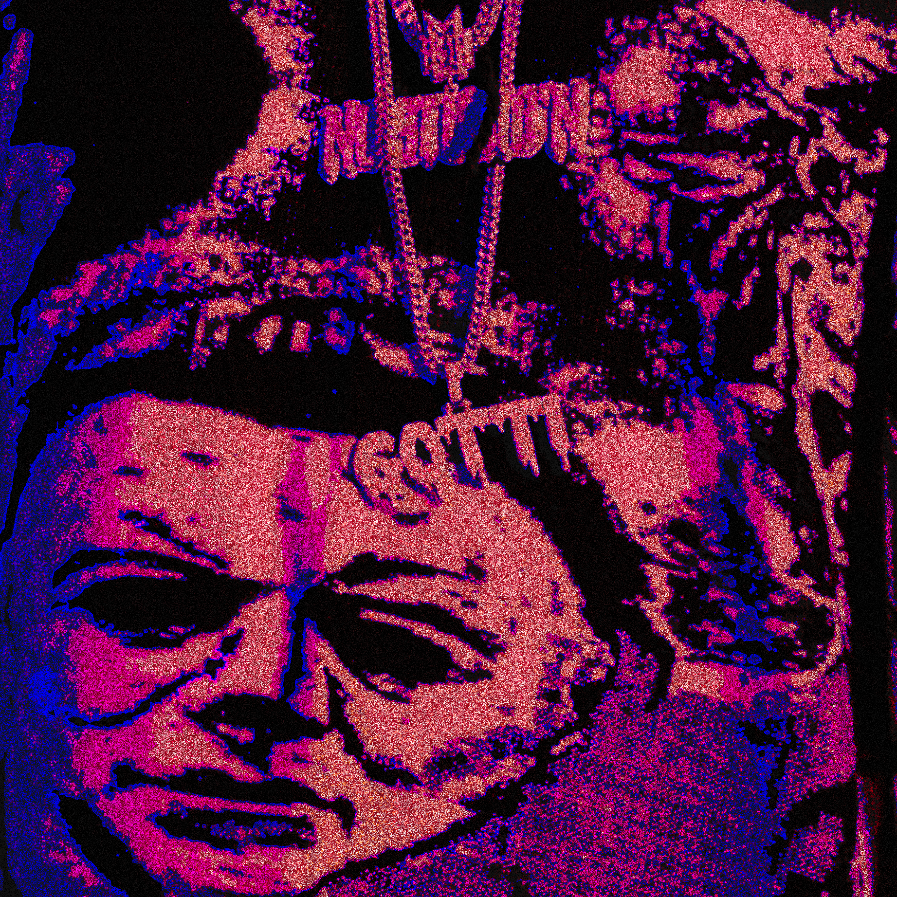 COVER 1 copy.png